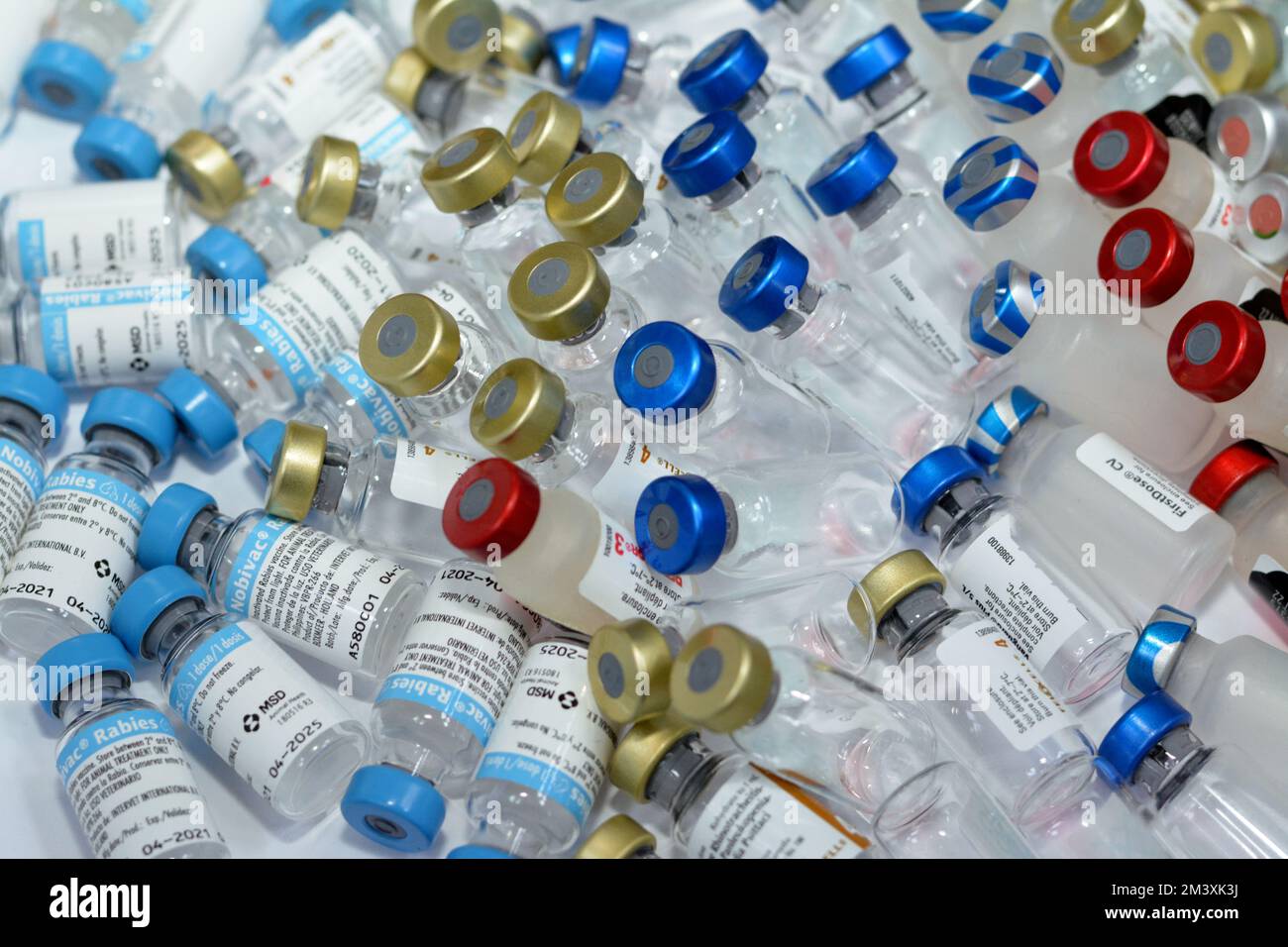 Cairo, Egypt, December 8 2022: Background of various and different types of animal vaccines for cats, dogs and other animals against various viruses a Stock Photo