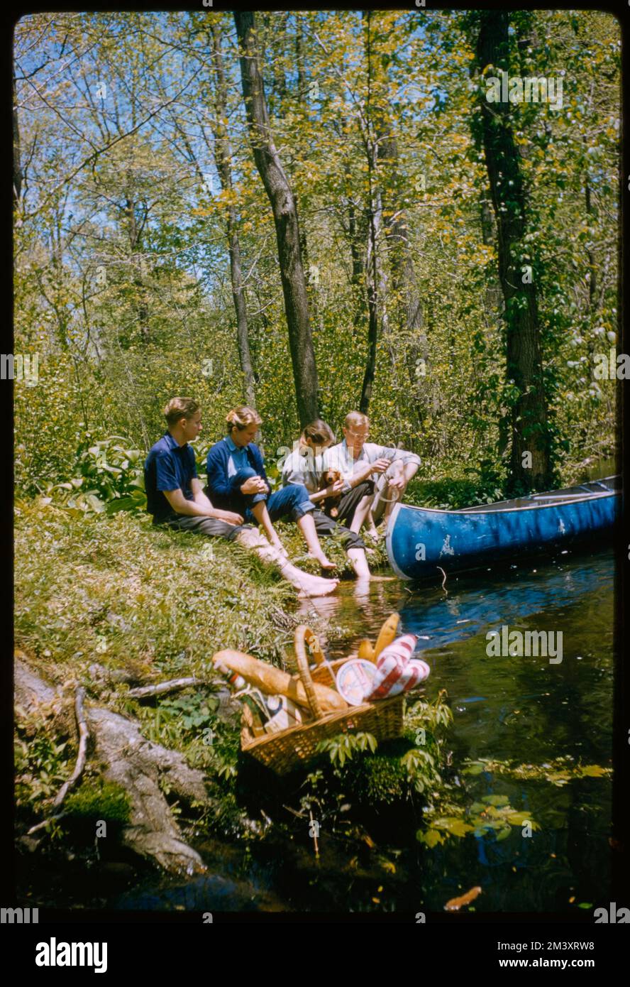 Picnic Long Island and Extras, Toni Frissell, Frissell Bacon, Frissell