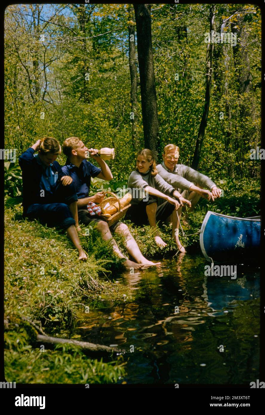 Picnic Long Island and Extras, Toni Frissell, Frissell Bacon, Frissell