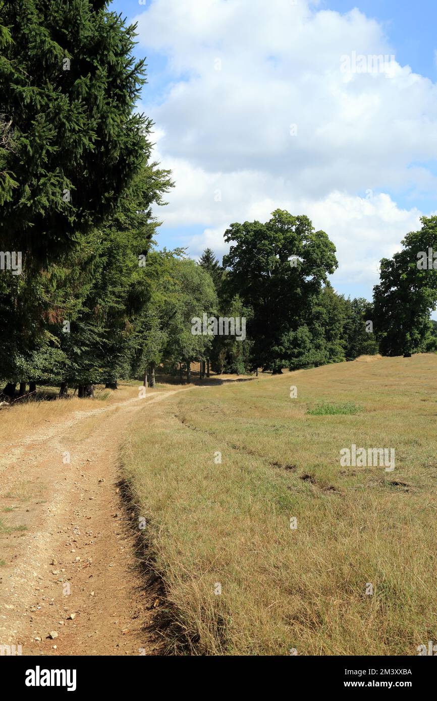 Youngs plantation hi-res stock photography and images - Alamy