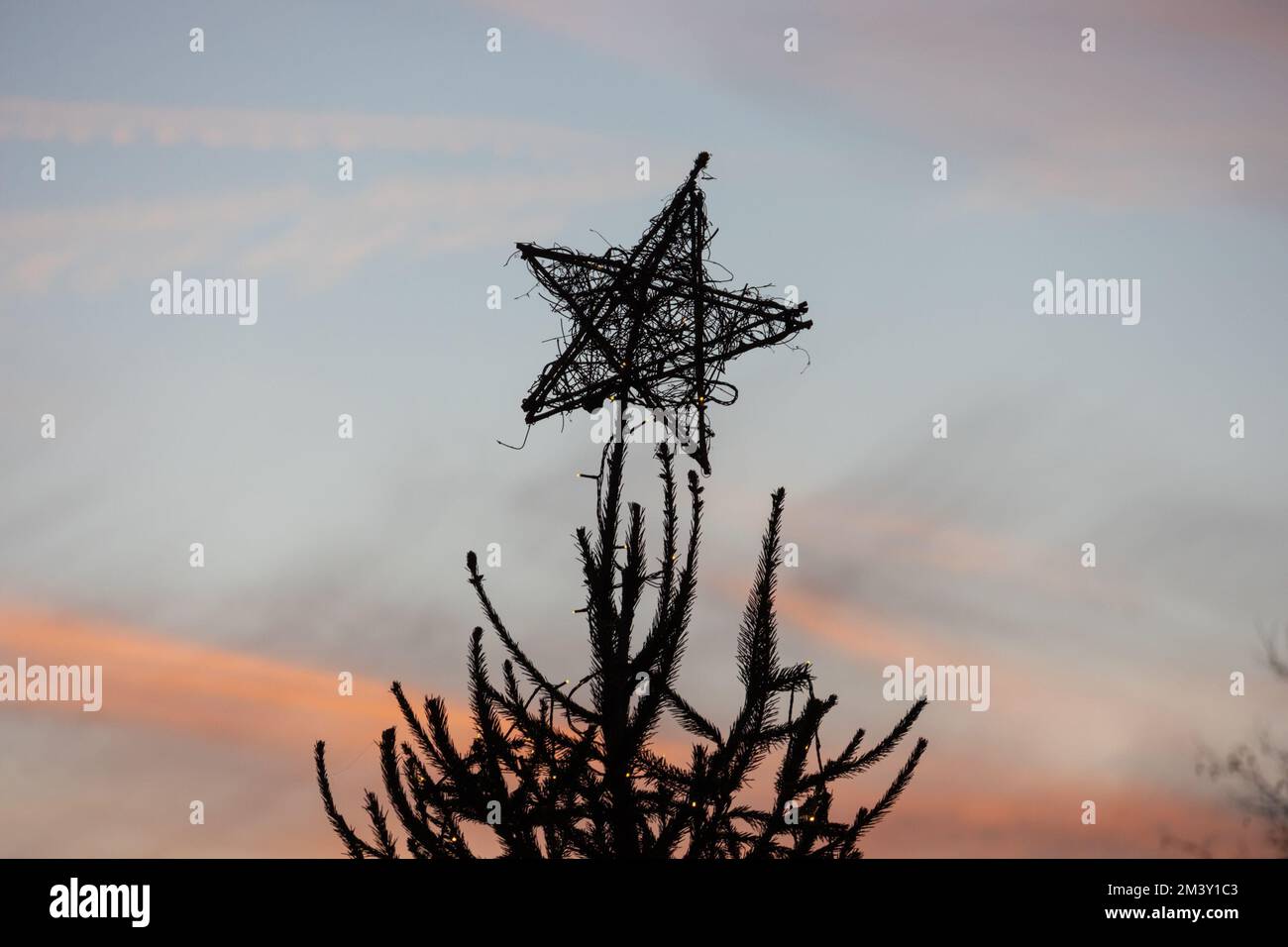 Star on top of an outdoor christmas tree, kent, uk Stock Photo Alamy