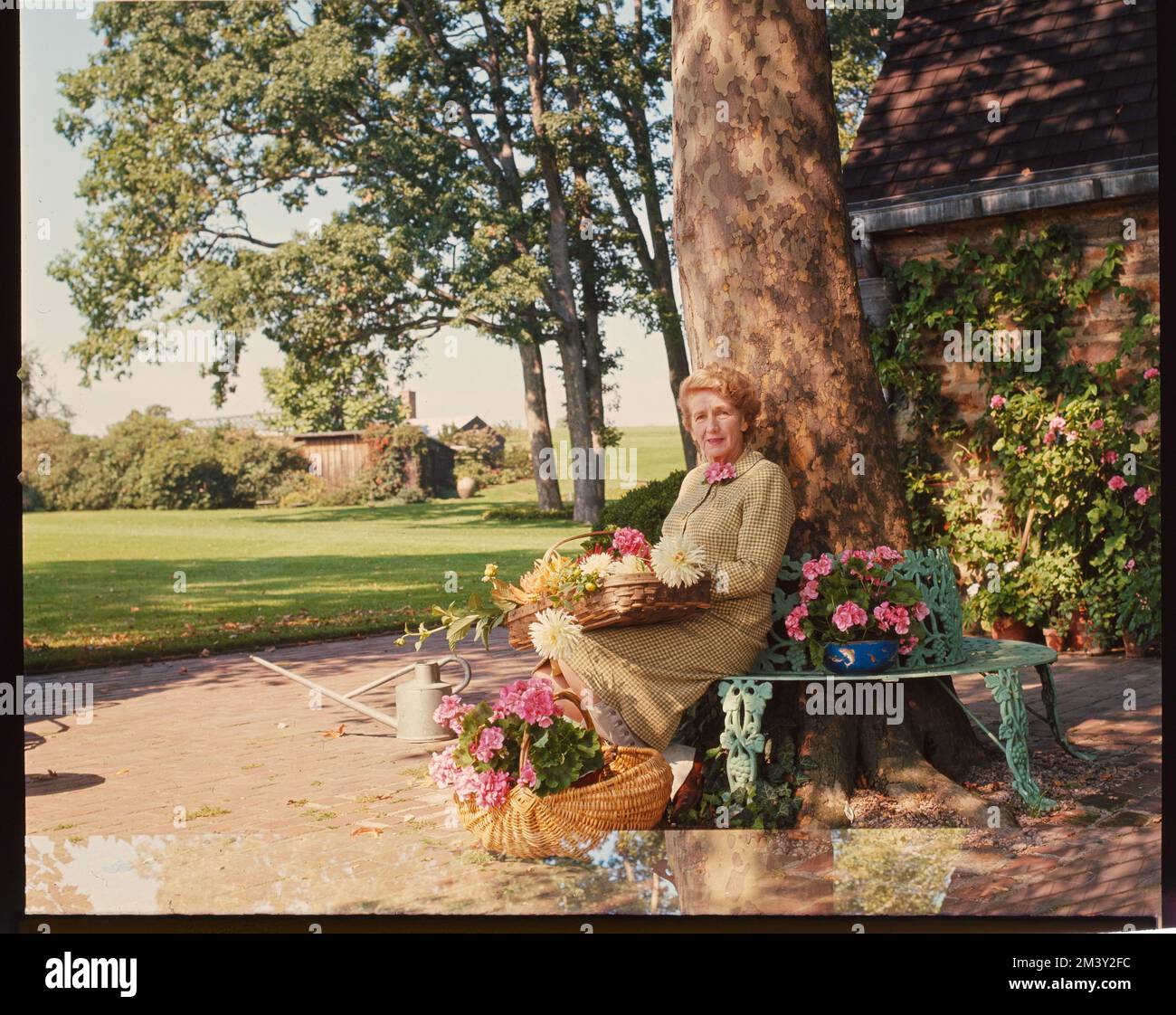 Shooting Fashions Mrs. Robert Me Leau Philadelphia, Toni Frissell