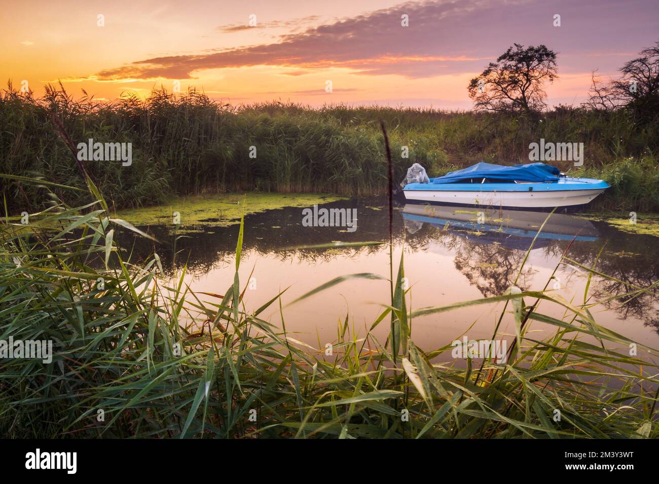 Scenic Reeds Boat and reeds hi-res stock photography and images - Alamy