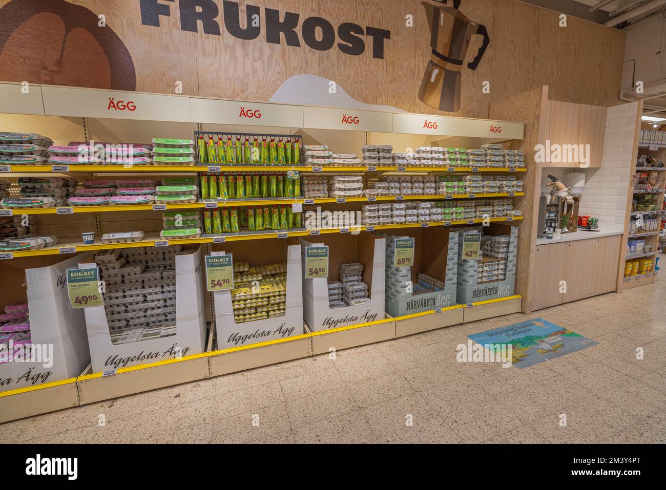 Close up view of department with shelves of chicken eggs in supermarket. Sweden. Uppsala. Stock Photo