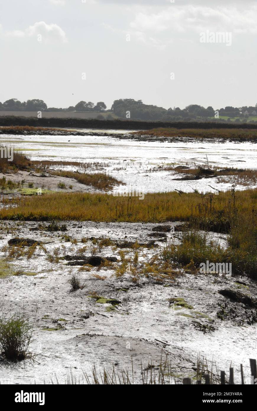 Silvery sunlight on mudflats and vegetation, at Hazelwood Marshes, on the Alde & Ore Estuary, Suffolk, 2nd October 2022. Stock Photo
