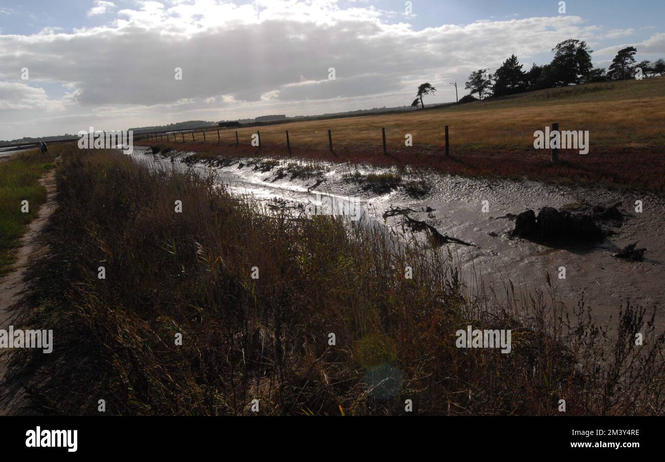 Silvery sunlight on mudflats and vegetation, Hazelwood Marshes, Alde & Ore Estuary, Suffolk, 2nd October 2022. Stock Photo