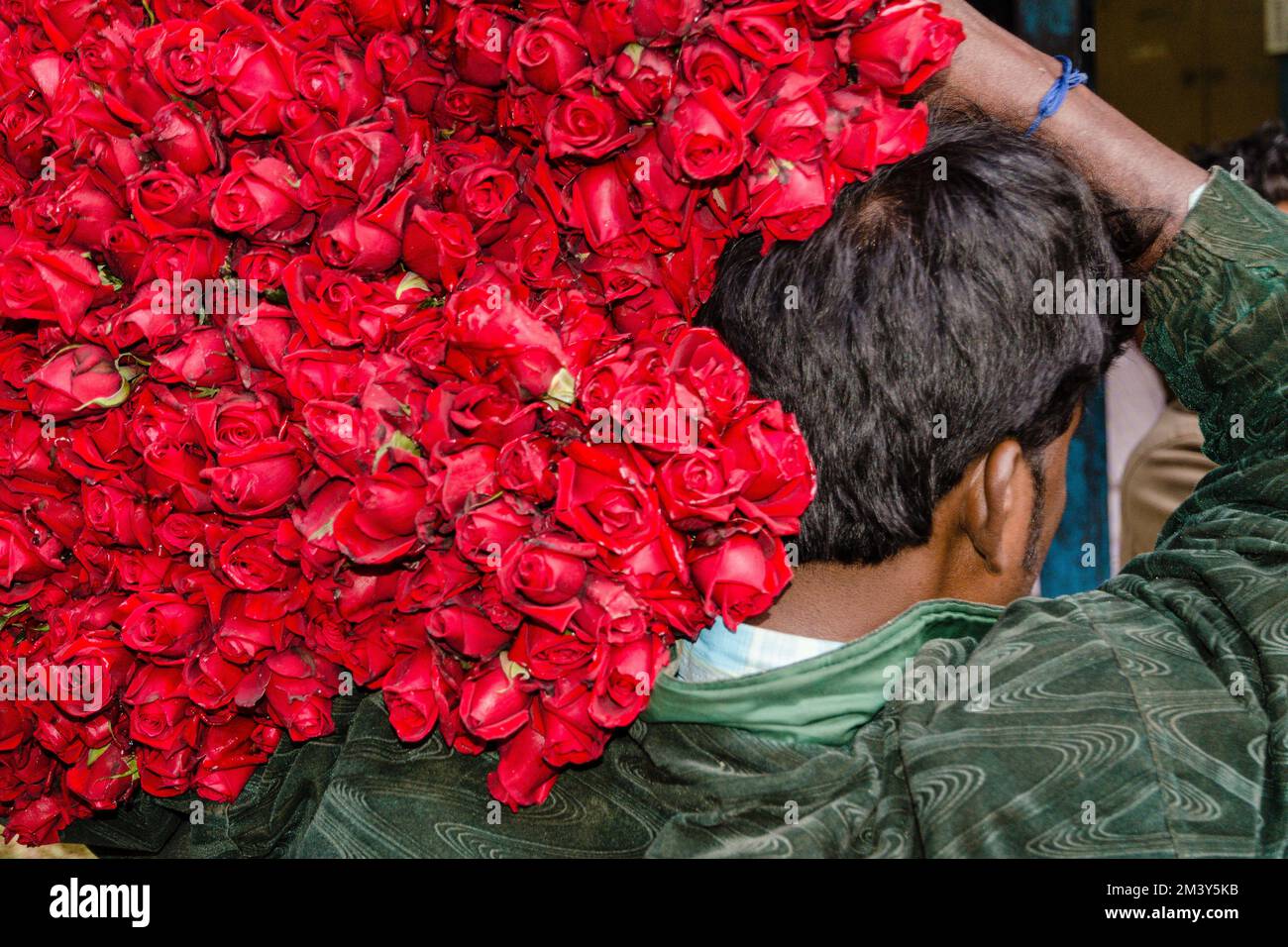 Man Carrying Roses A man is carrying red roses at the 125-year old Kolkata Flower Market ...