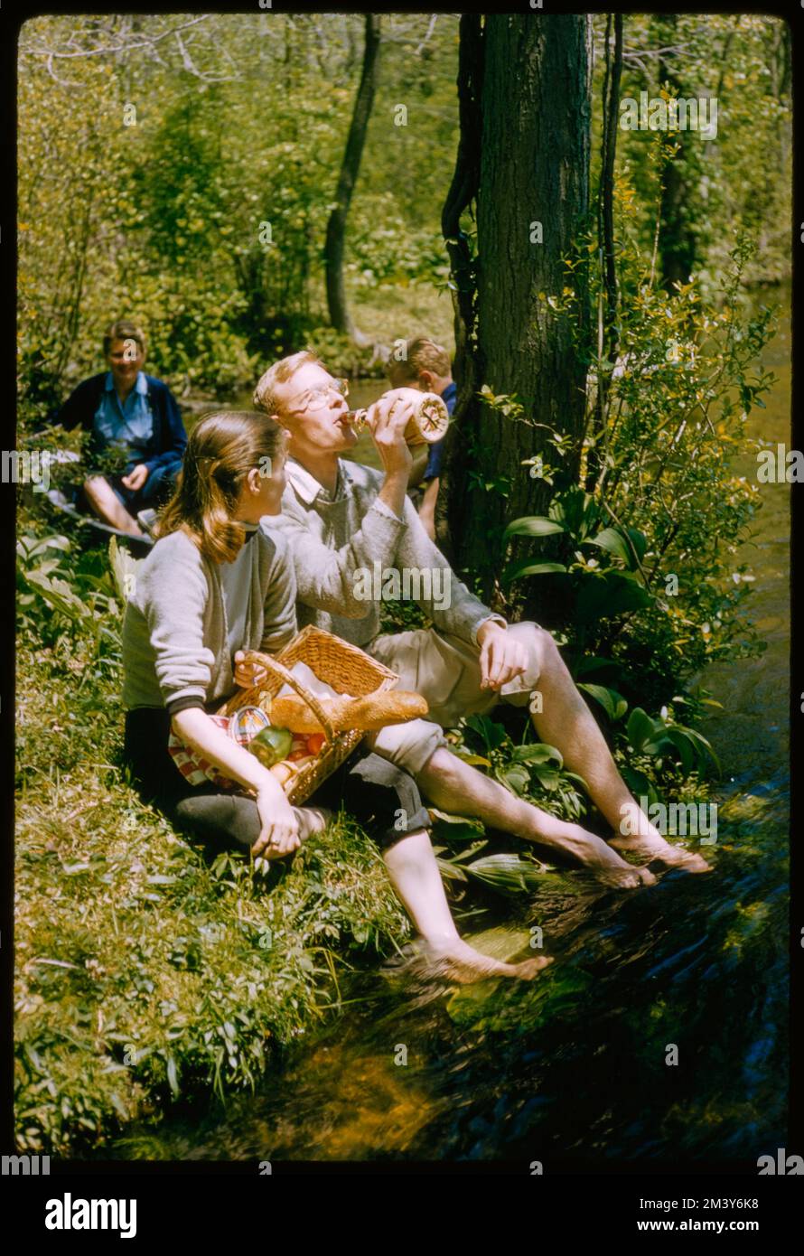 Picnic Long Island and Extras, Toni Frissell, Frissell Bacon, Frissell