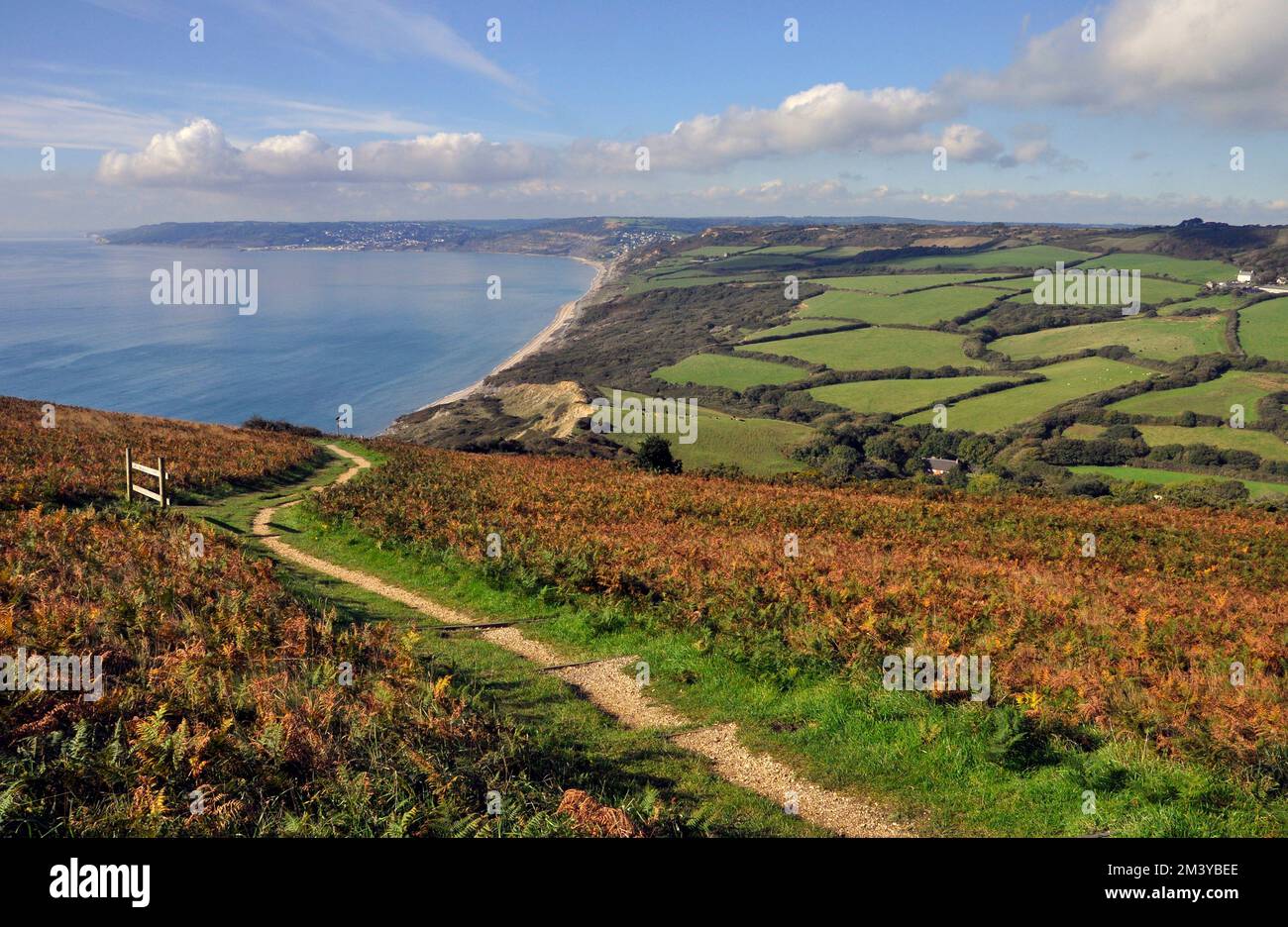 A distant autumn view of Lyme Regis on the coast of Dorset from the ...