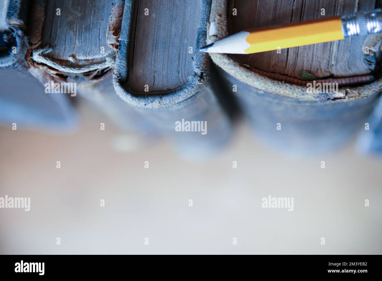 Antique books on the shelf in the library Stock Photo - Alamy