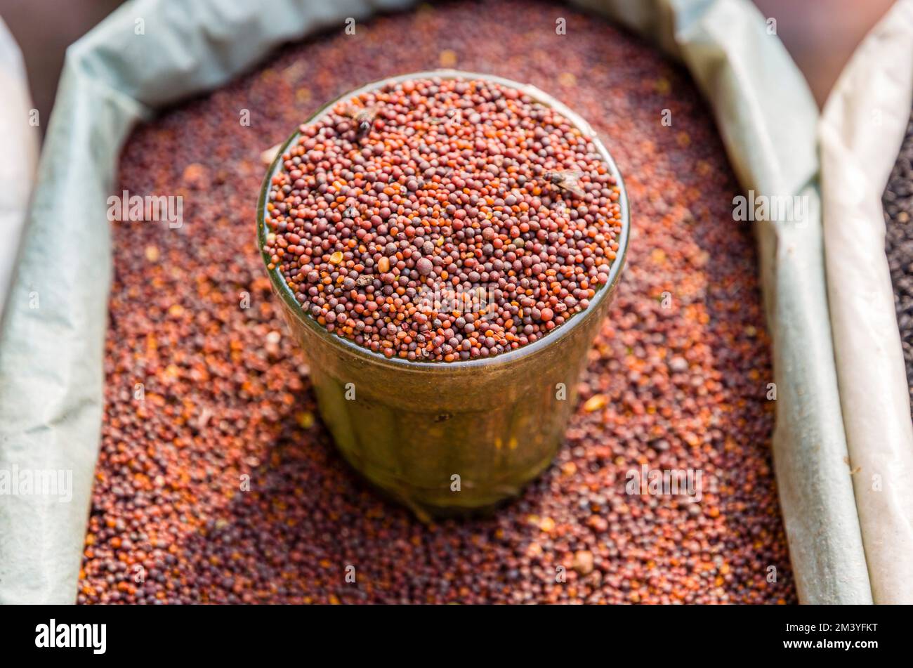 Mustard seeds for sale at the street market in Paharganj, the urban