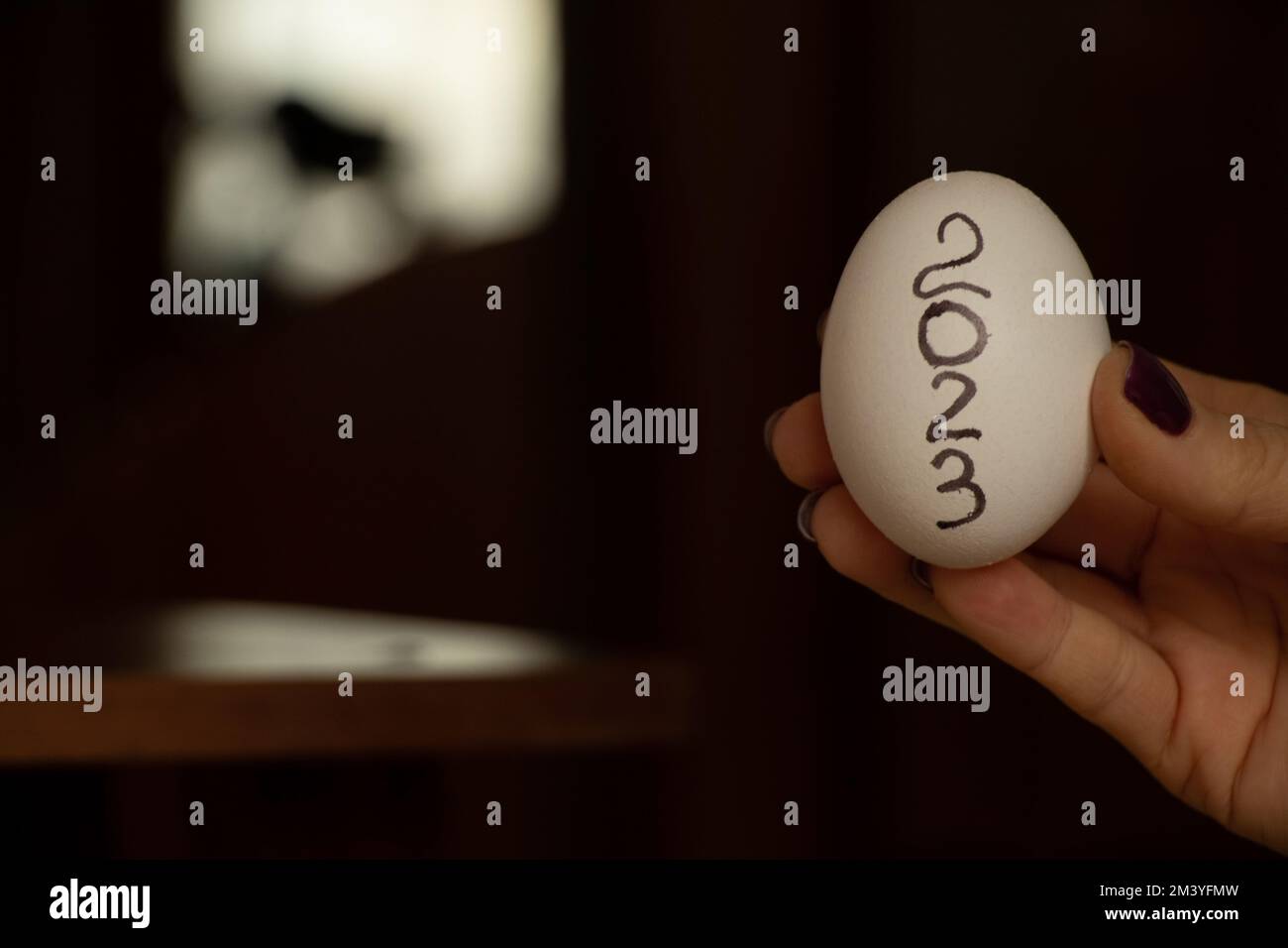 Female hand holding an egg with the text 2023 on the kitchen at home, happy new year 2023, food and hunger Stock Photo