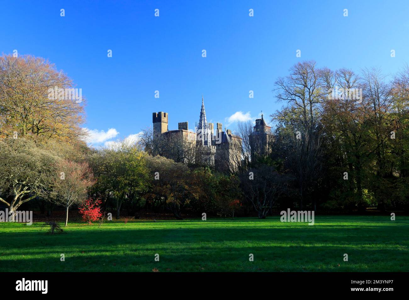 Cardiff Castle from Bute Park / Castle Grounds on a sunny day in winter. Taken 2022. Stock Photo