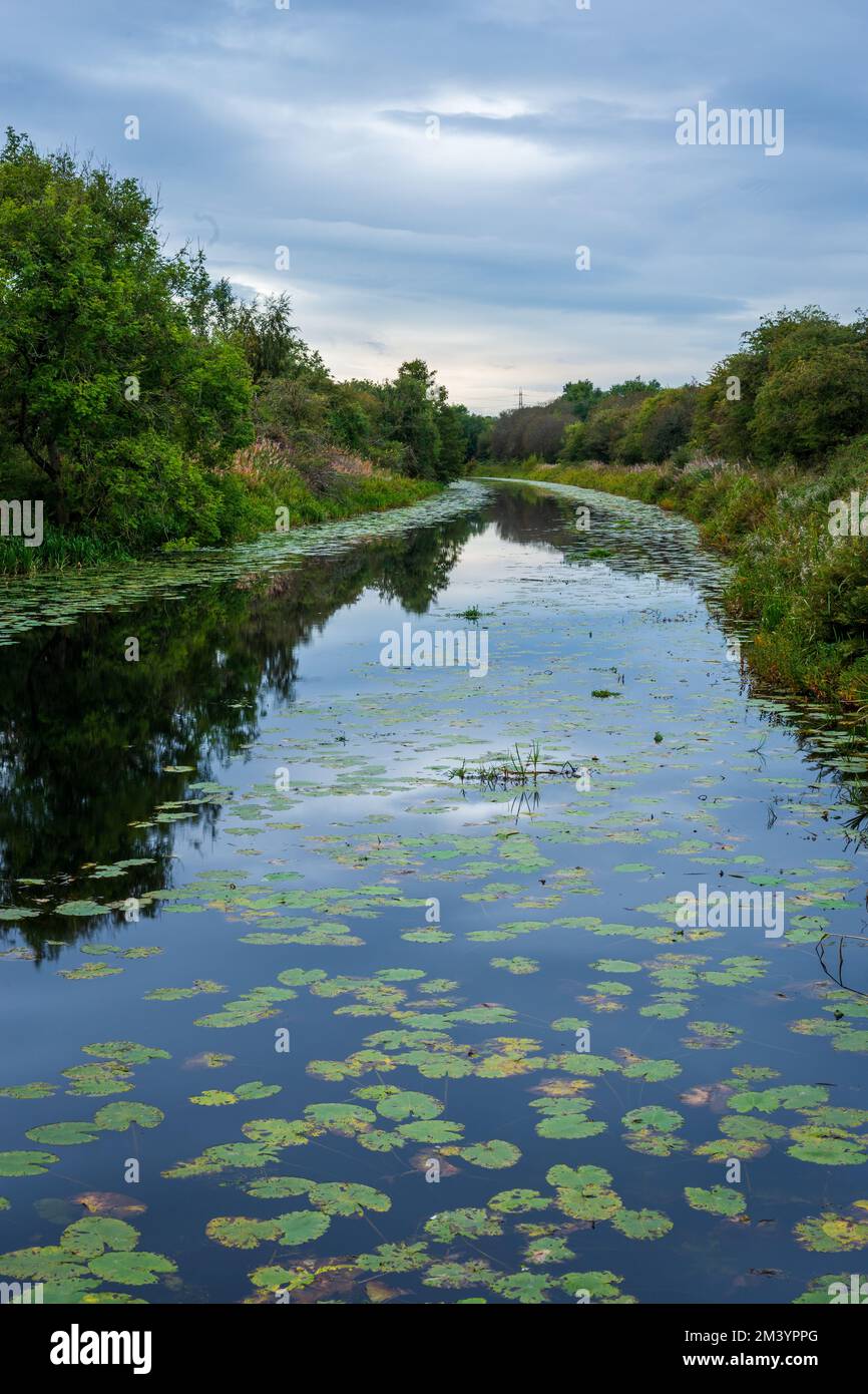 Highland Rivers River in the Scottish Highland on a summers day Stock Photo - Alamy