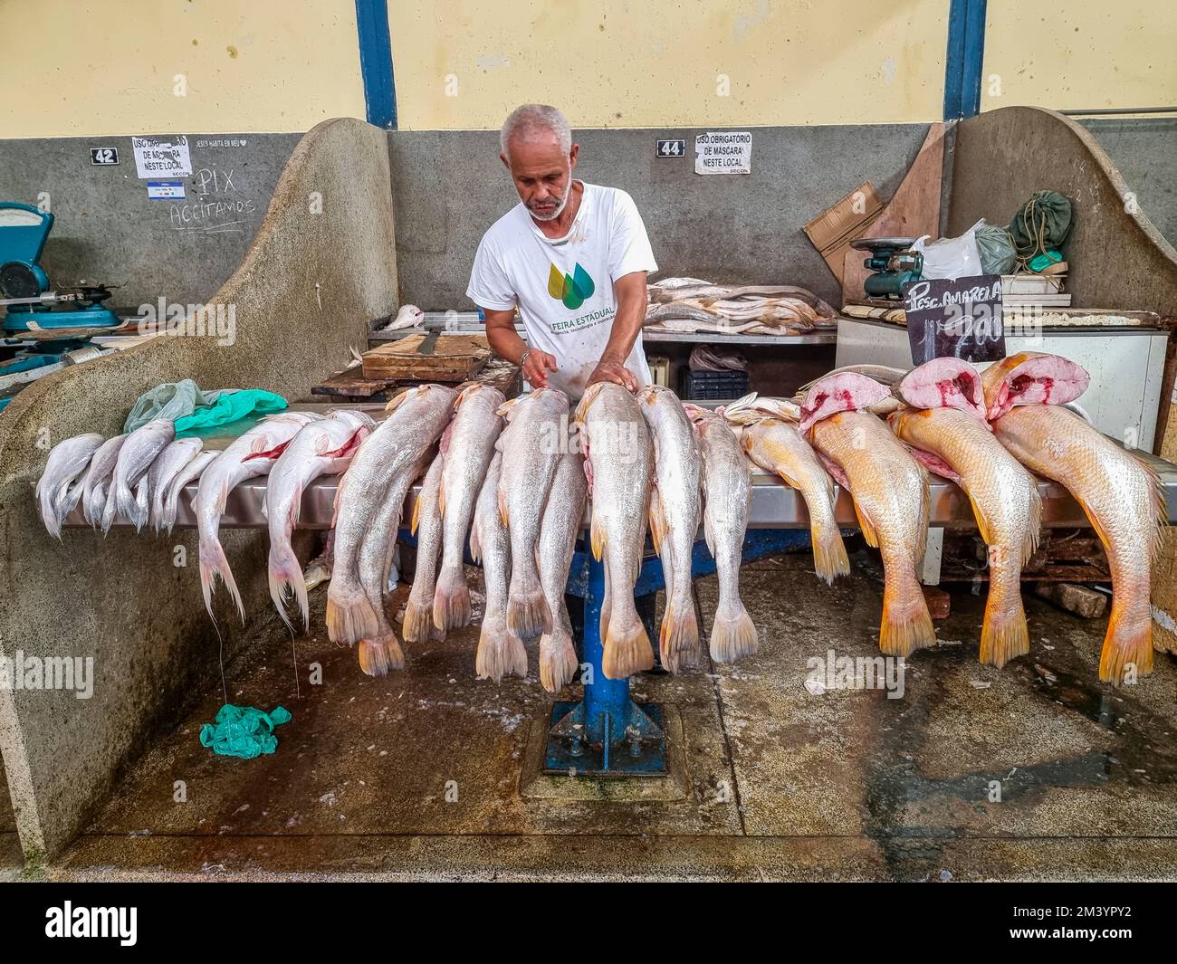 Fresh fish for sale, Ver-o-peso market hall, Belem, Brazil Stock Photo ...