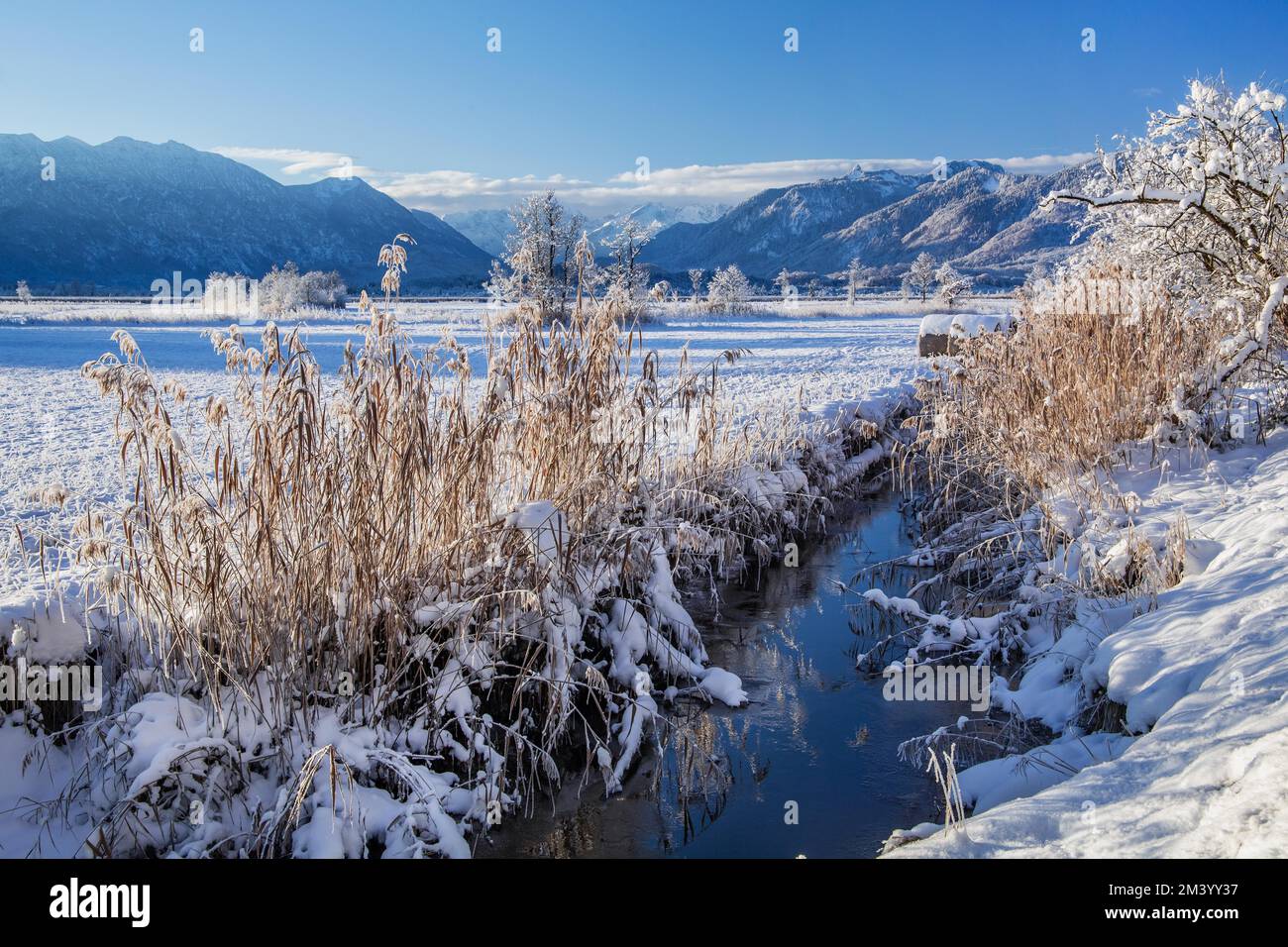 Winter landscape in the Murnauer moss with Estergebirge and Ammergau ...