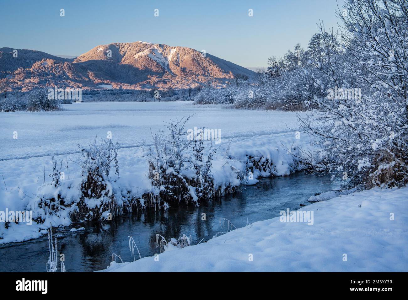 Winter landscape in the Murnauer moss with Hörnle 1548m in the Ammergau ...