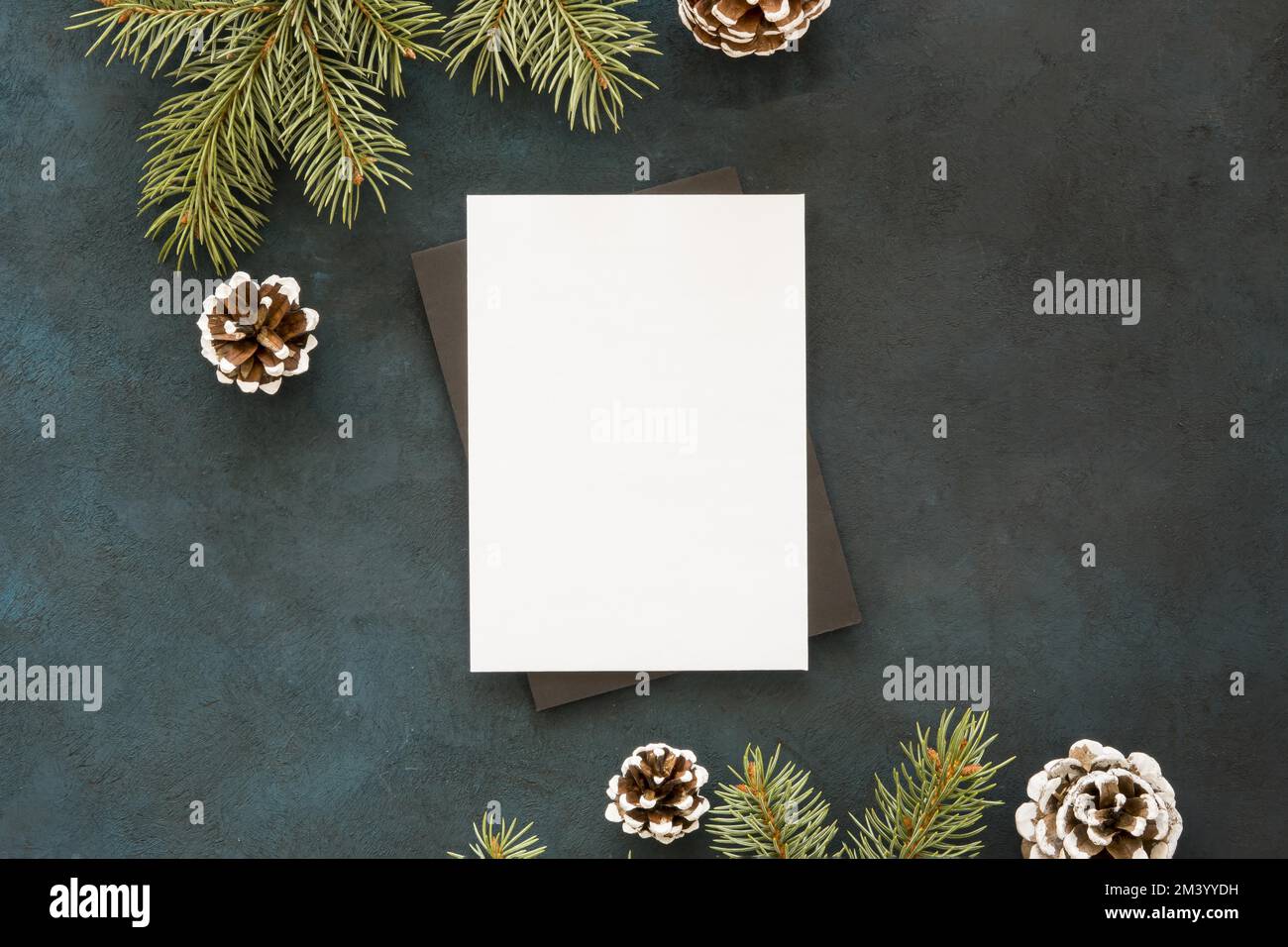 Blank paper surrounded by pine leaves cones Stock Photo