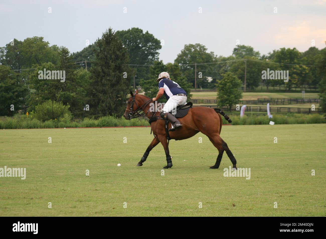 Lexington Polo Club at Kentucky Horse Park Stock Photo Alamy