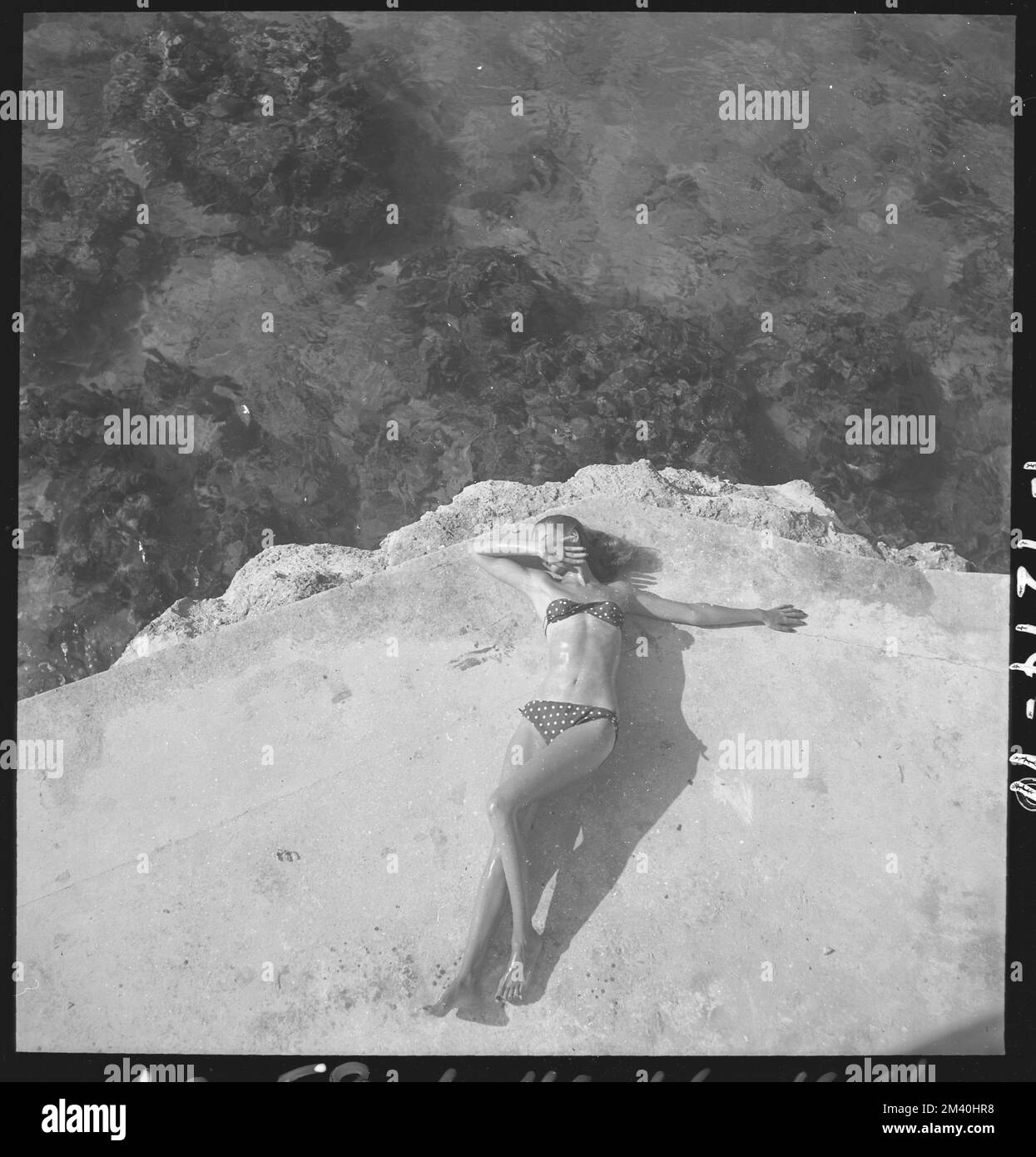 Fashion model Natahli (Natalie) Nickerson Paine a wearing bikini, lying on platform near water, Montego Bay, Jamaica, Toni Frissell, Antoinette Frissell Bacon, Antoinette Frissell Stock Photo