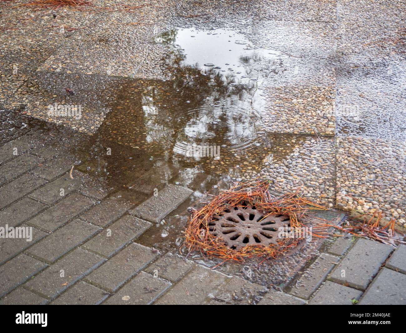 flooded drain in a street after a storm rainfall Stock Photo