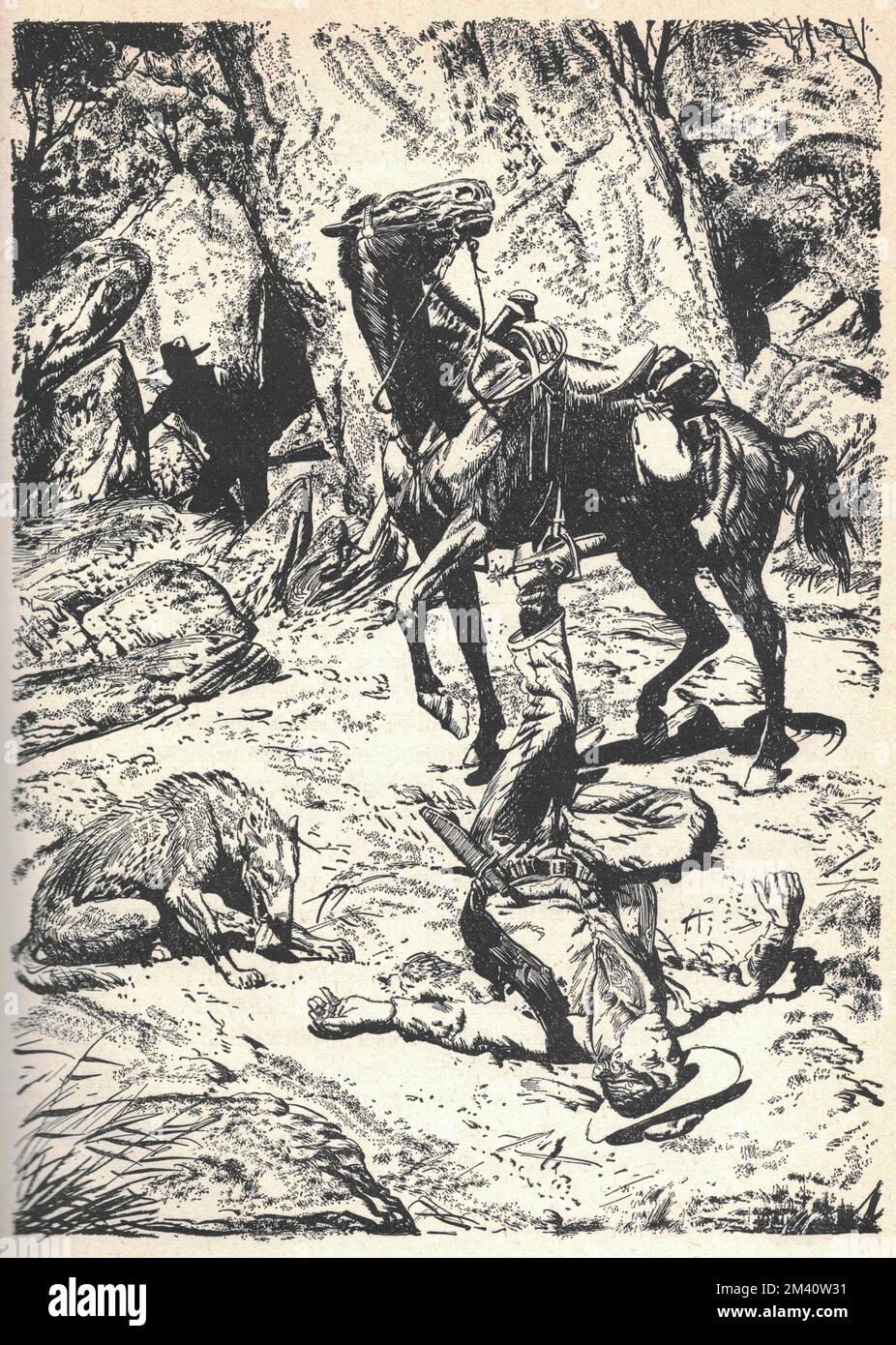 Man lying on the ground after falling from a horse.  Old black and white illustration. Vintage drawing. Illustration by Zdenek Burian. Zdenek Michael Frantisek Burian (11 February 1905 in Koprivnice, Moravia, Austria-Hungary 1 July 1981 in Prague, Czechoslovakia) was a Czech painter, book illustrator and palaeoartist whose work played a central role in the development of palaeontological reconstruction. Originally recognised only in his native Czechoslovakia, Burian's fame later spread to an international audience during a remarkable career spanning six decades (1930s to 1980s). He is regarded Stock Photo