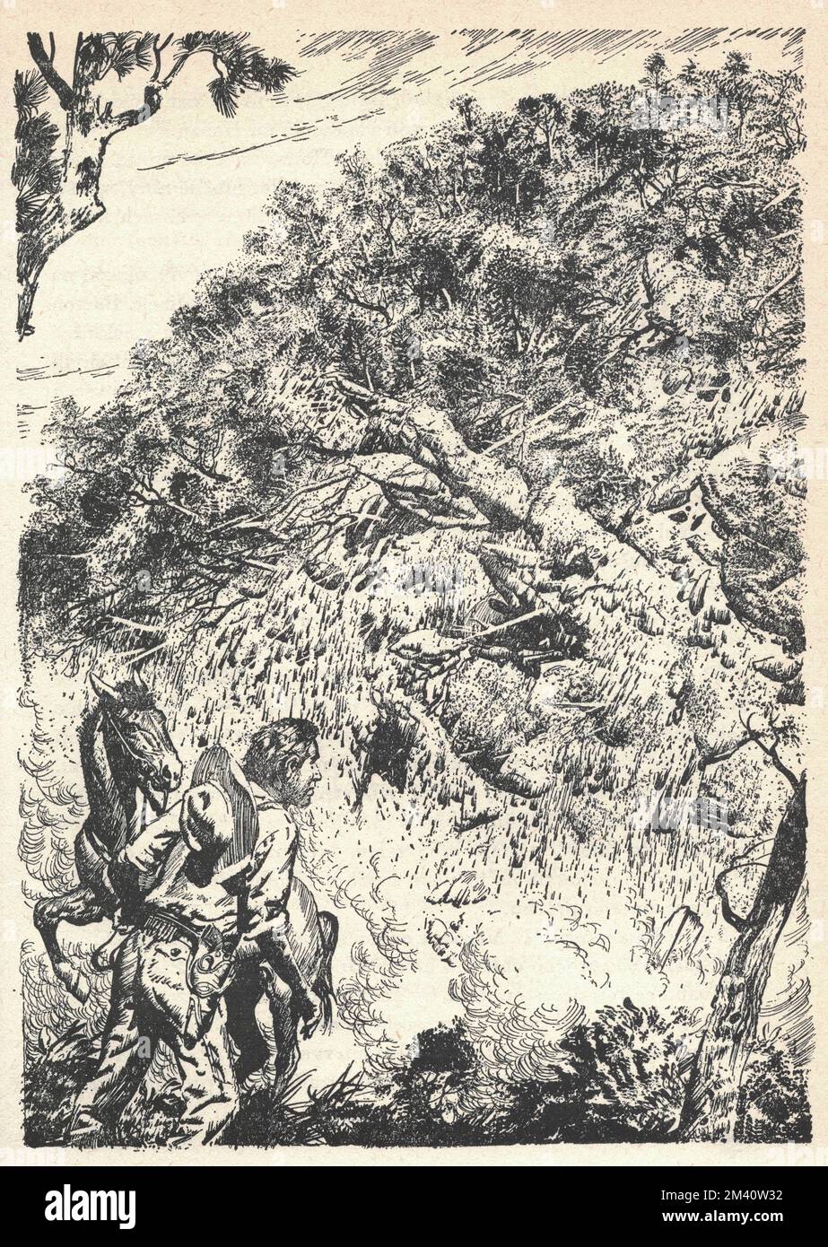 A cowboy in the wild west. A cowboy on the edge of a ravine. Old black and white illustration. Vintage drawing. Illustration by Zdenek Burian. Zdenek Michael Frantisek Burian (11 February 1905 in Koprivnice, Moravia, Austria-Hungary 1 July 1981 in Prague, Czechoslovakia) was a Czech painter, book illustrator and palaeoartist whose work played a central role in the development of palaeontological reconstruction. Originally recognised only in his native Czechoslovakia, Burian's fame later spread to an international audience during a remarkable career spanning six decades (1930s to 1980s). He is Stock Photo