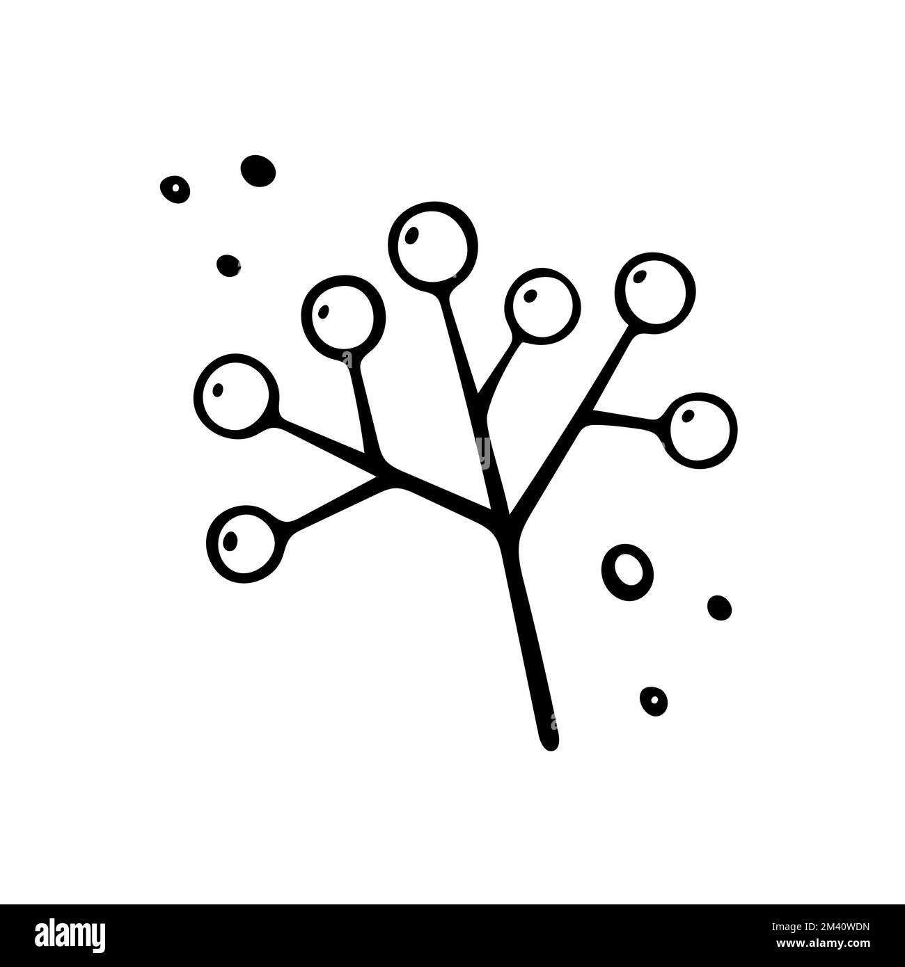 Hand drawn rowan branch, autumn element. Vector illustration in Doodle ...