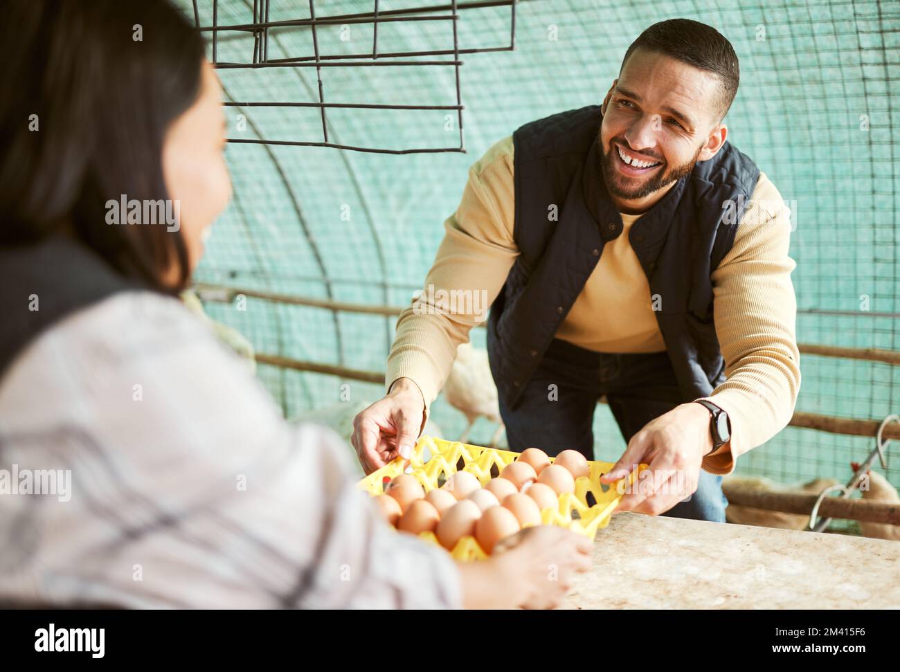 Man, woman or chicken eggs sale on agriculture farm, sustainability