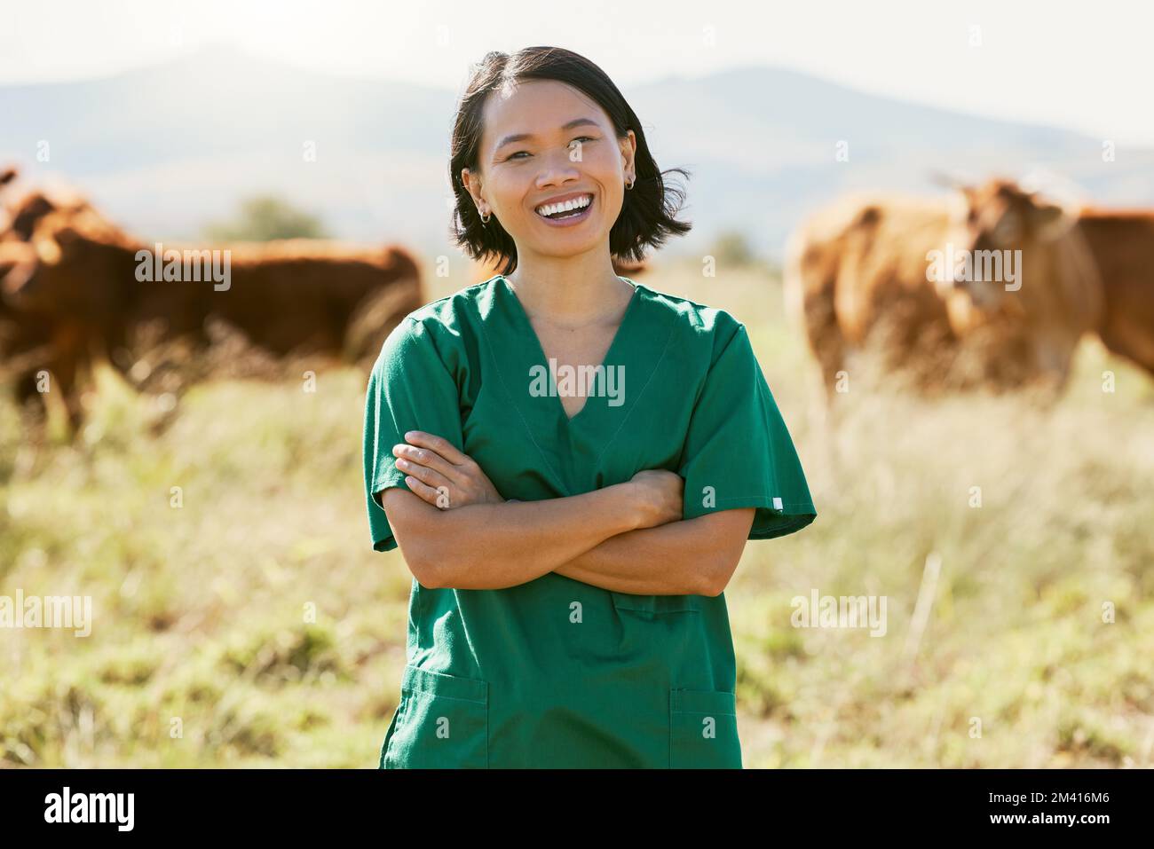 Woman, vet or arms crossed on cow farm, dairy agriculture field or beef produce countryside in wellness goals or vaccine innovation. Portrait, smile Stock Photo