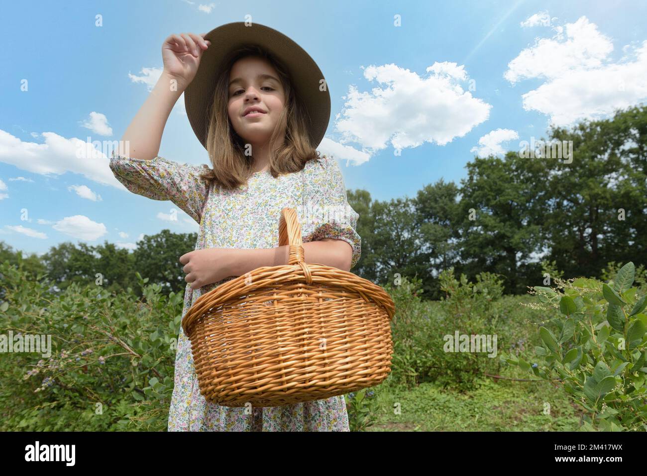 Girl with a basket. A teenage girl in a dress and a wide-brimmed hat picks berries in the forest Stock Photo