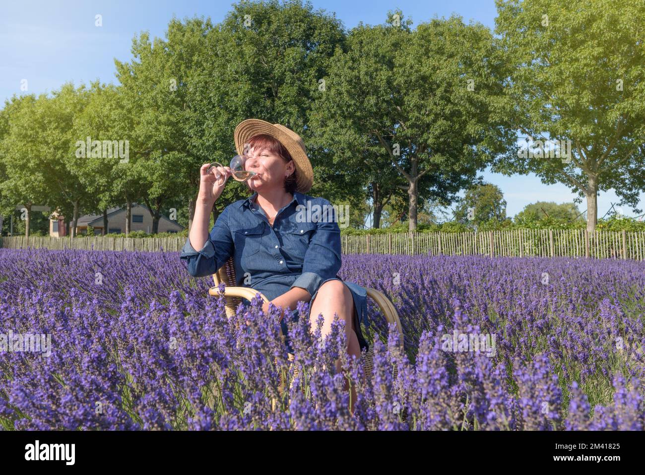 Lavender drink. Woman in lavender field enjoying lavender liqueu Stock Photo