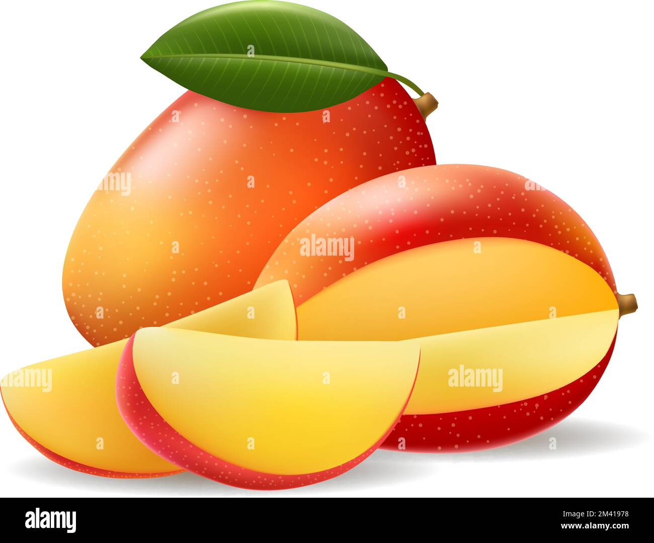Red mango fruit and slices Stock Vector