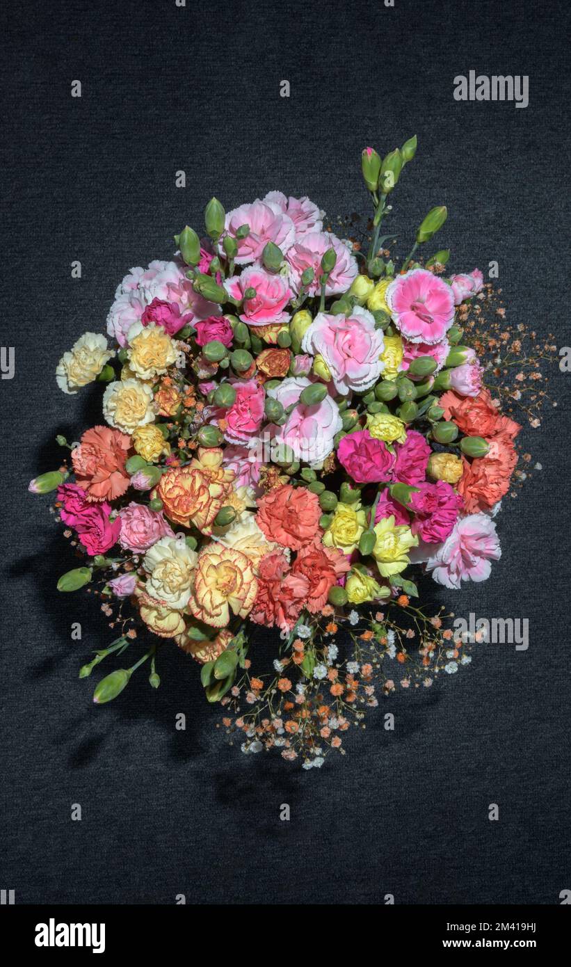 Multi-colored carnations in one bouquet on a dark textured background