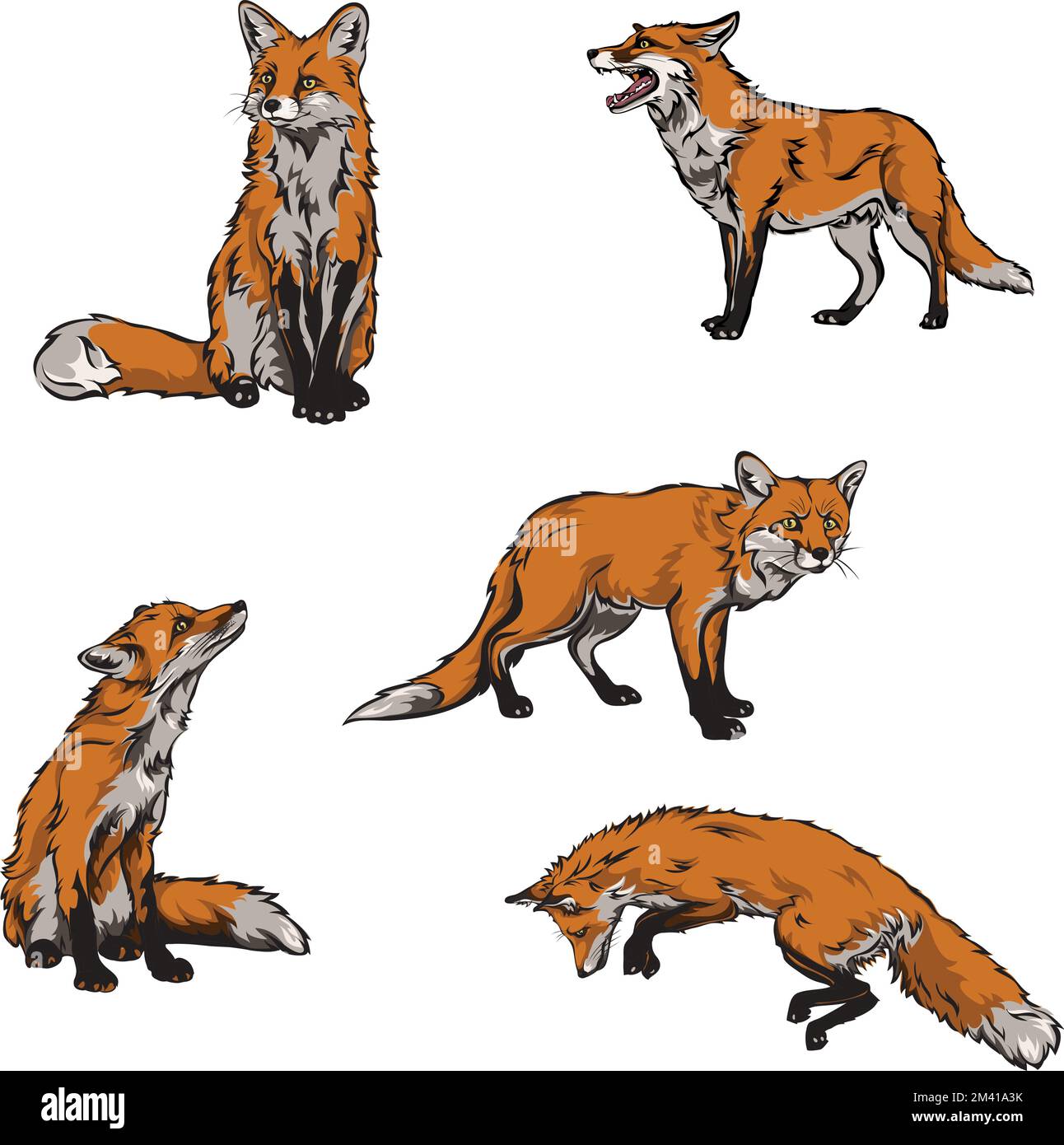 Red Fox Running Drawing