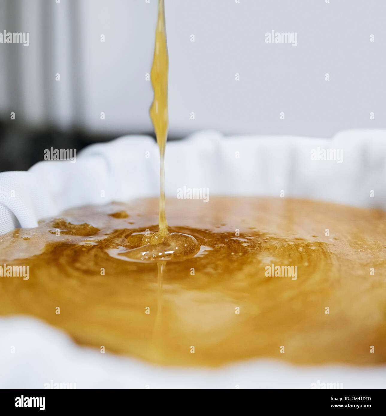 Honey production, extraction and drip in factory with sweet gold, splash and filter cloth in container. Honeycomb harvest, manufacturing and process Stock Photo