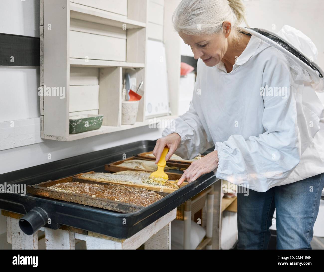 Beekeeper woman, uncapping fork and honey production in apiary workshop, factory or warehouse. Bee farmer, honeycomb and beeswax in agriculture Stock Photo