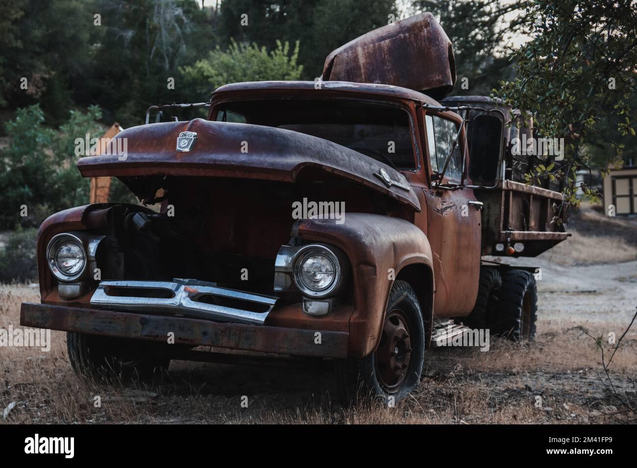 An old and rusty Ford Truck in a field Stock Photo