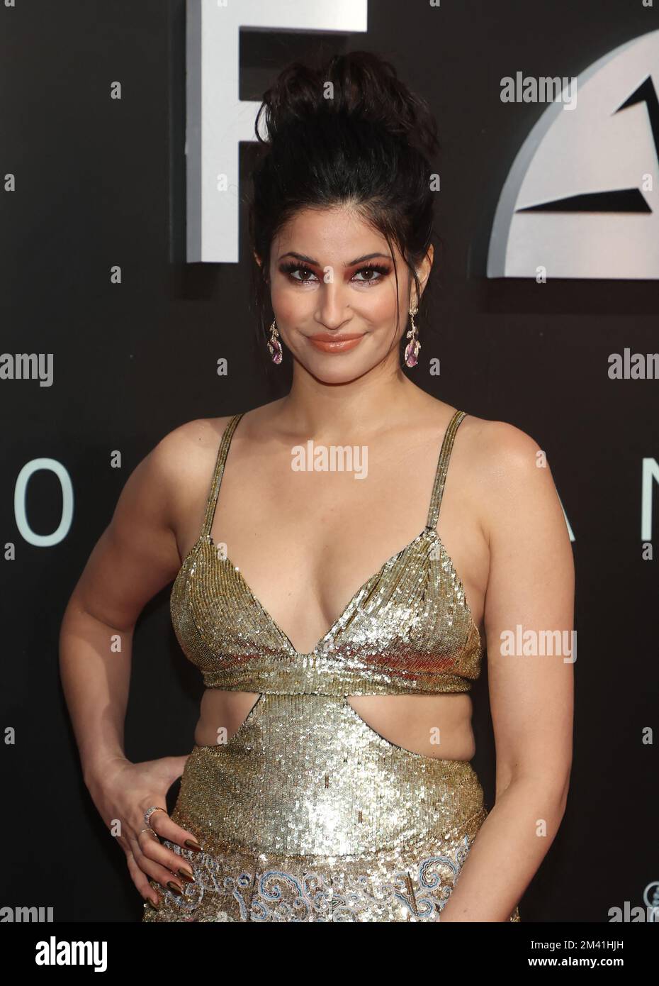 Richa Moorjani, at UNFORGETTABLE The 20th Annual Asian American Awards