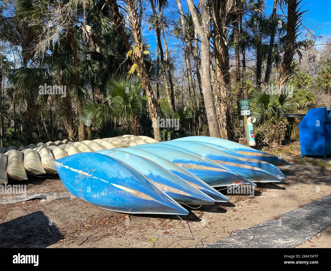 Canoes lined up for people to rent at a state park in Florida Stock Photo Alamy