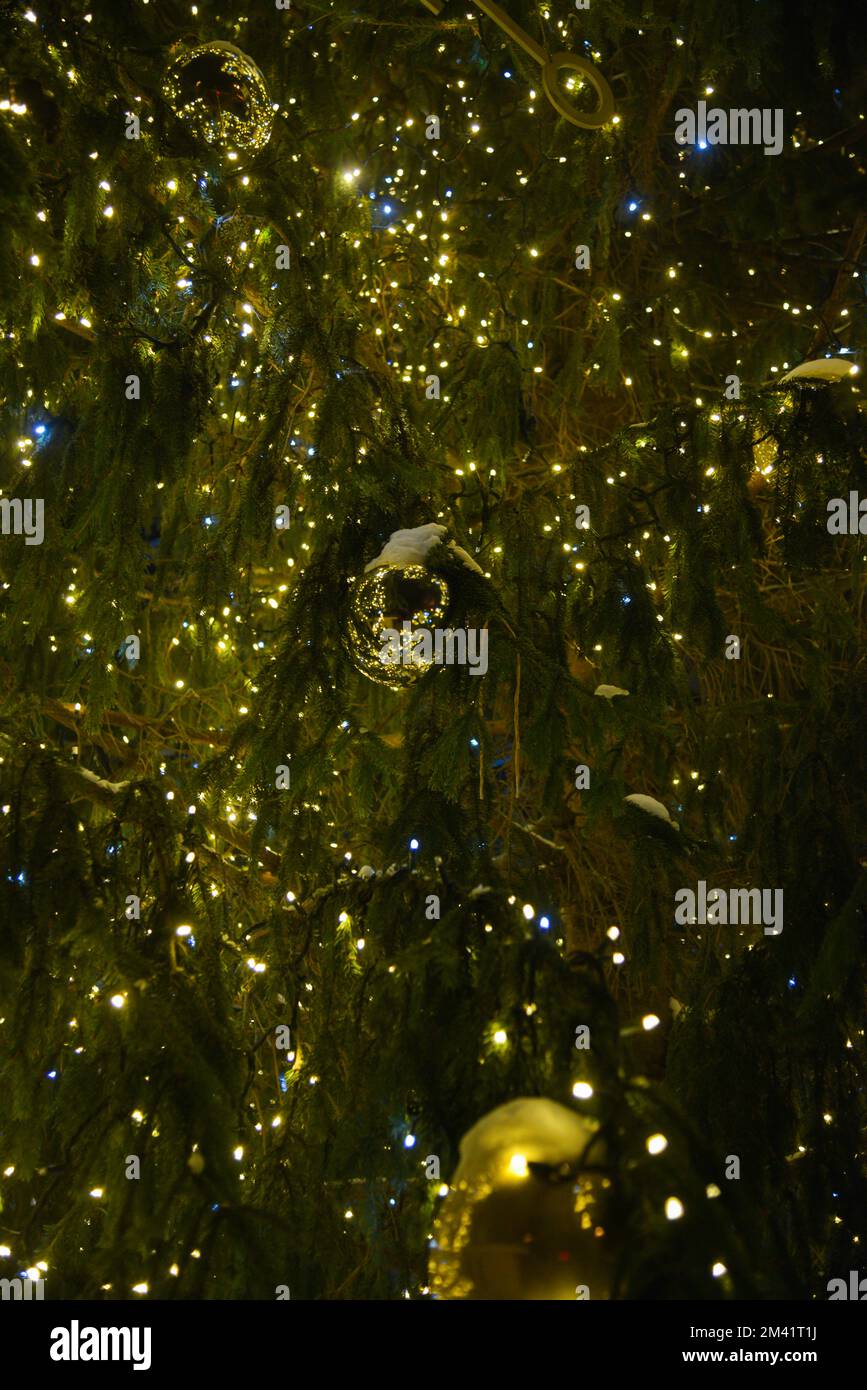 green Christmas tree with snowy branches and Christmas lights and big
