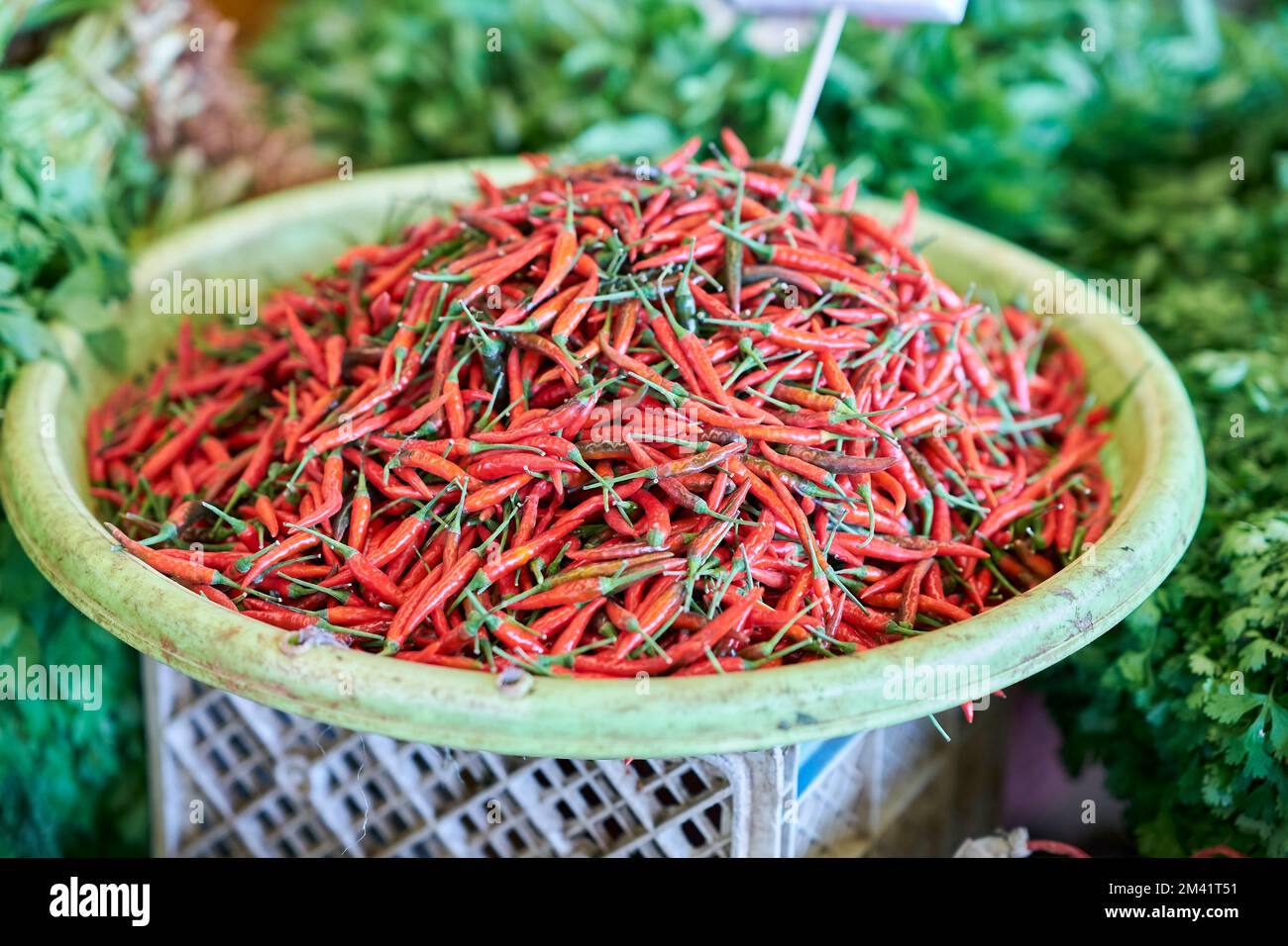 Chilli pepper display hi-res stock photography and images - Alamy