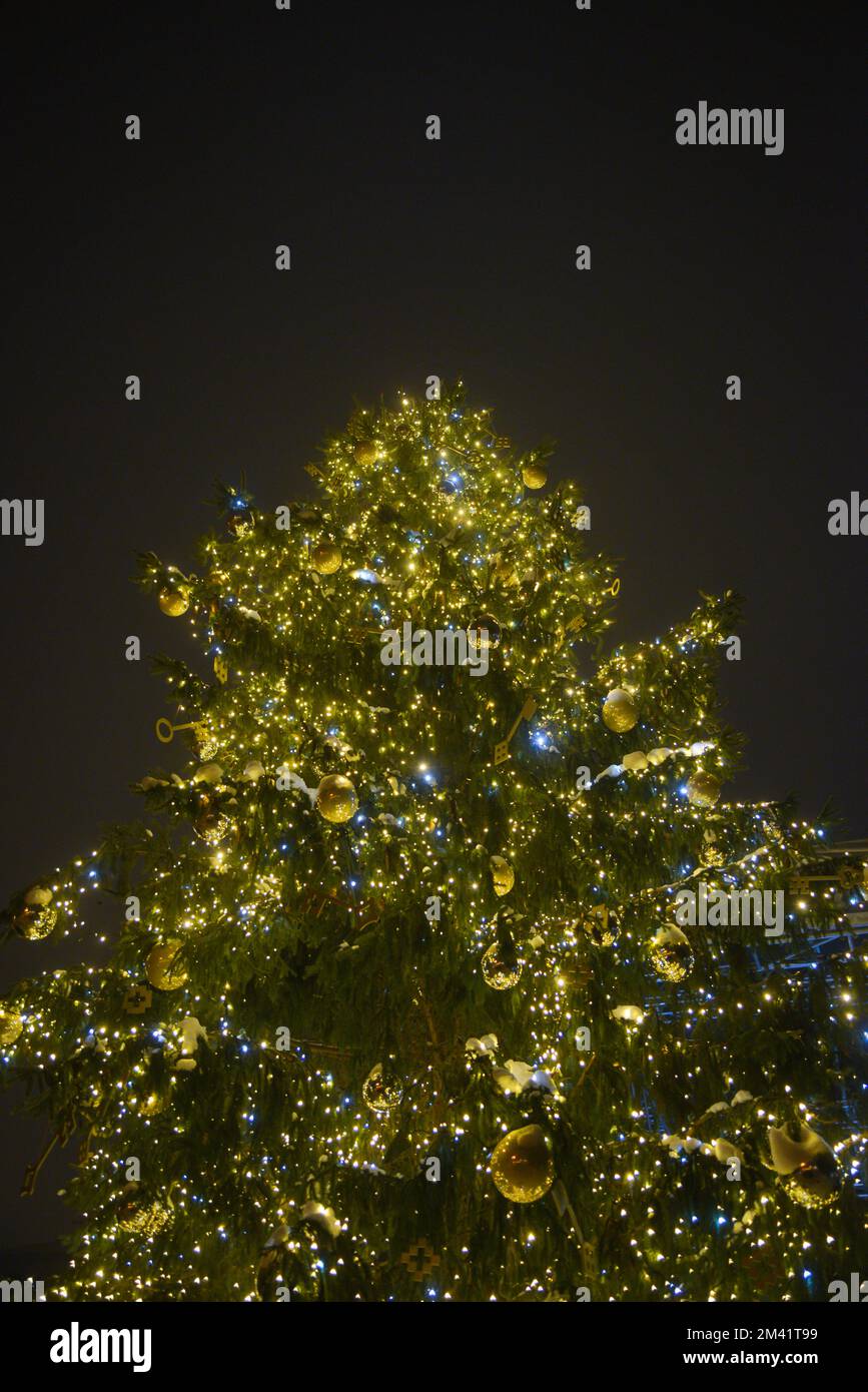 Christmas tree with green snowcovered branches in which lights and