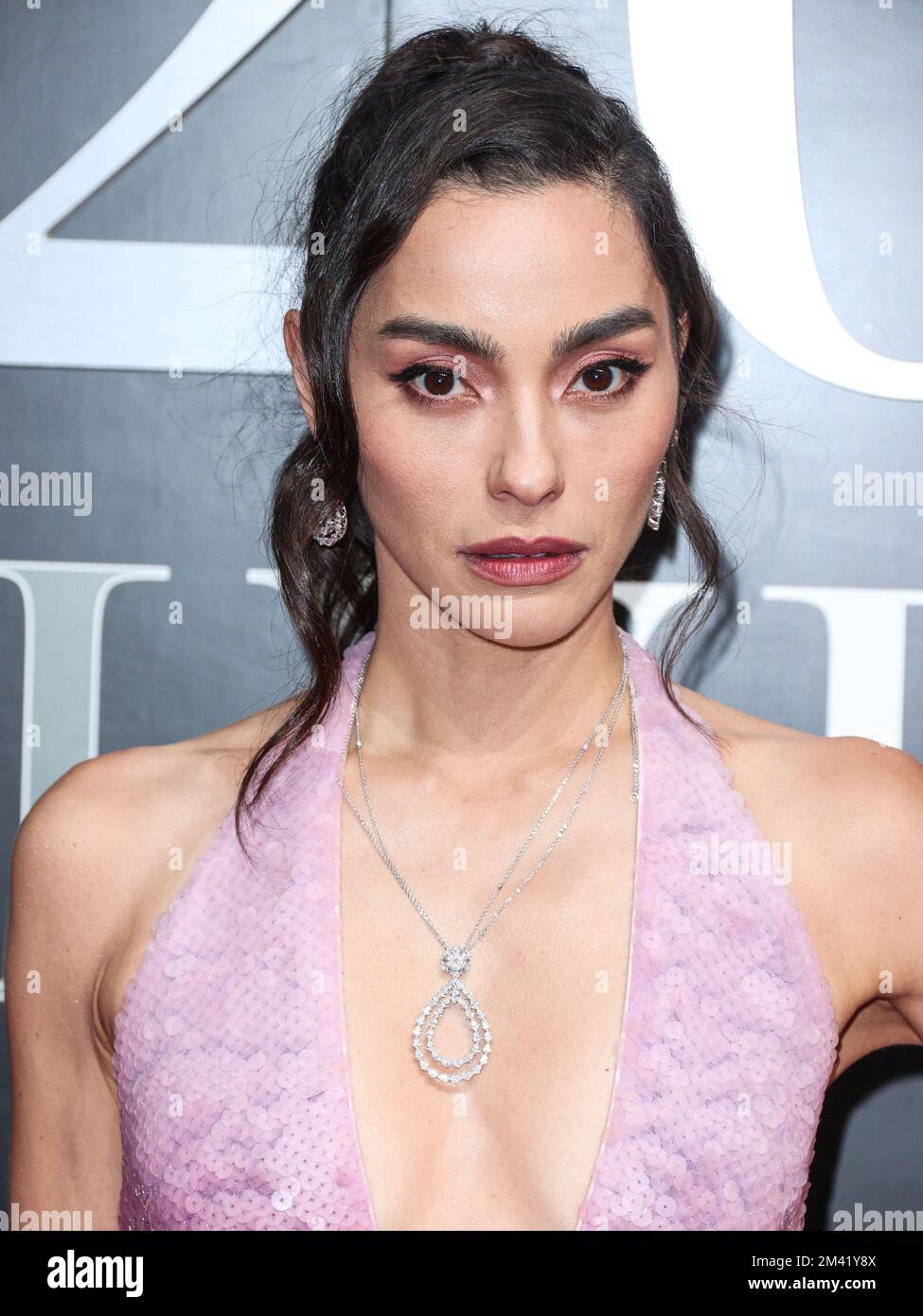 BEVERLY HILLS, LOS ANGELES, CALIFORNIA, USA DECEMBER 17 Adrianne Ho