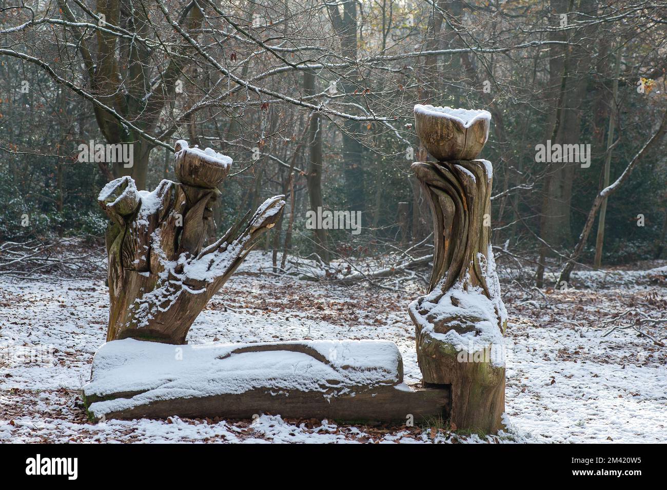 Farnham Common, Buckinghamshire, UK. 17th December, 2022. Snow on wood