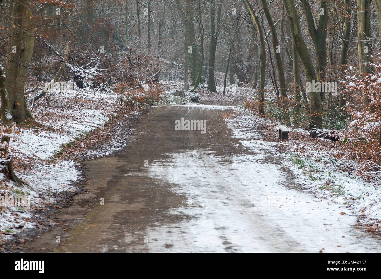 Farnham Common, Buckinghamshire, UK. 17th December, 2022. Burnham