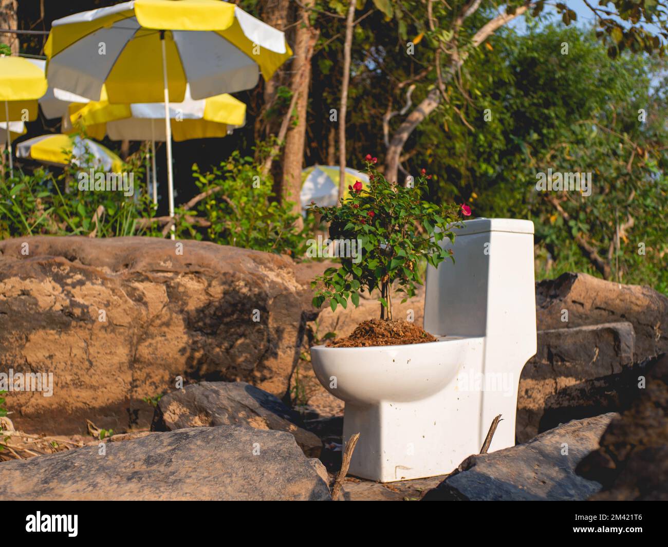 A toilet that was used to plant flowers instead of plant pots at Coffee shop called " Nature