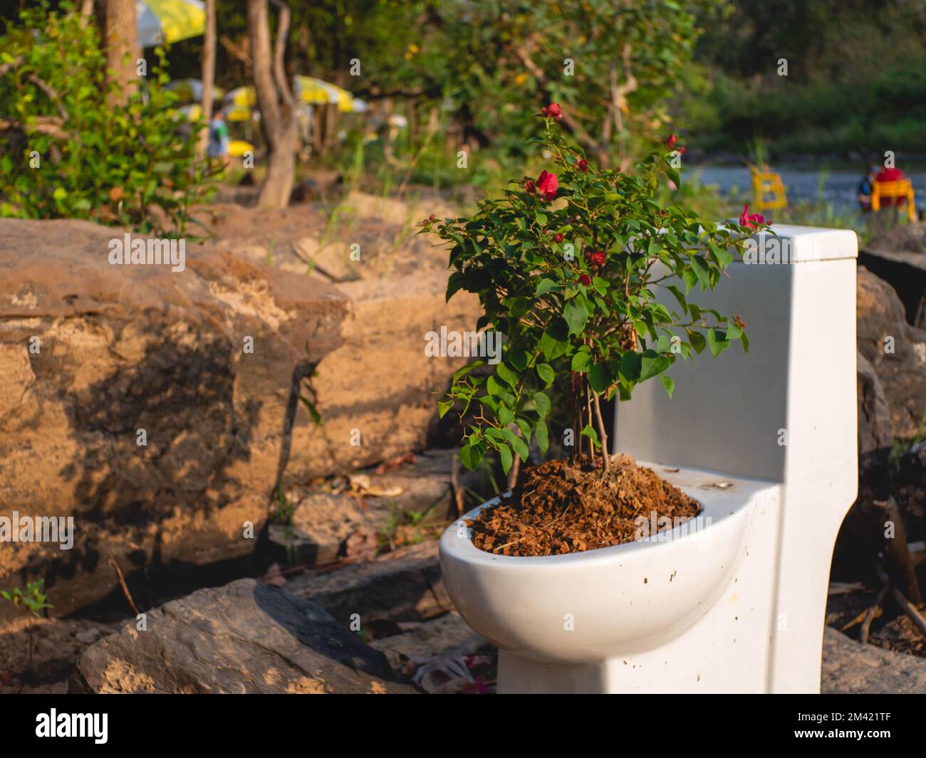 A toilet that was used to plant flowers instead of plant pots at Coffee shop called " Nature