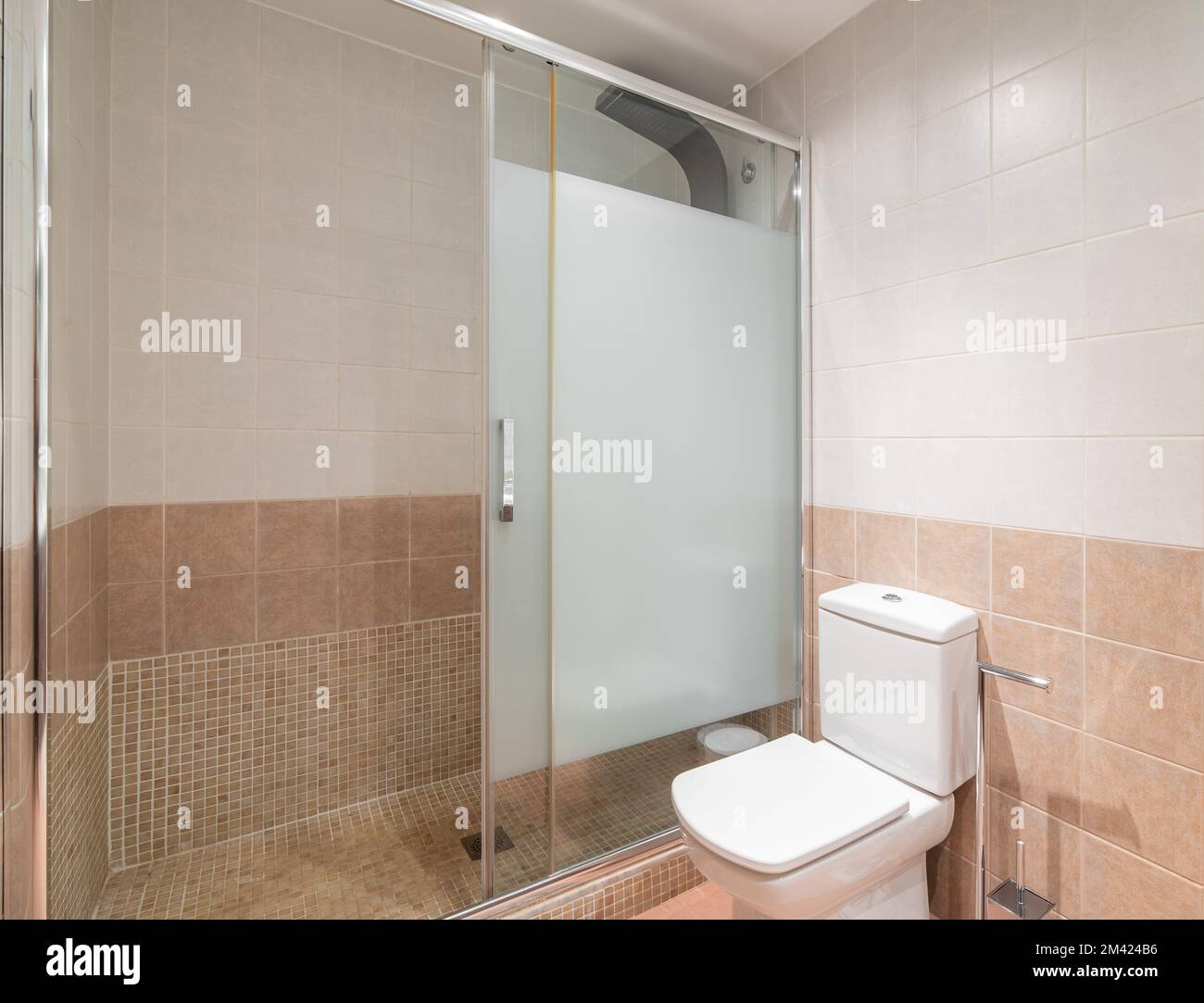 Shower area is separated from shared bathroom by sliding partition made of frosted durable glass. Walls of room are tiled in delicate neutral colors Stock Photo