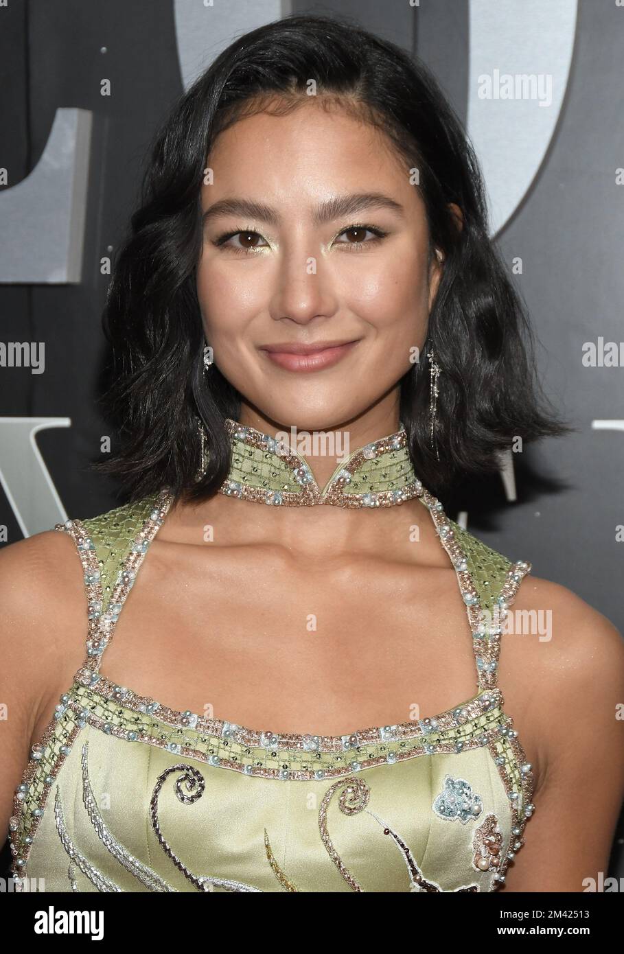 Adeline Rudolph dDDDat the 20th Annual Asian American Awards